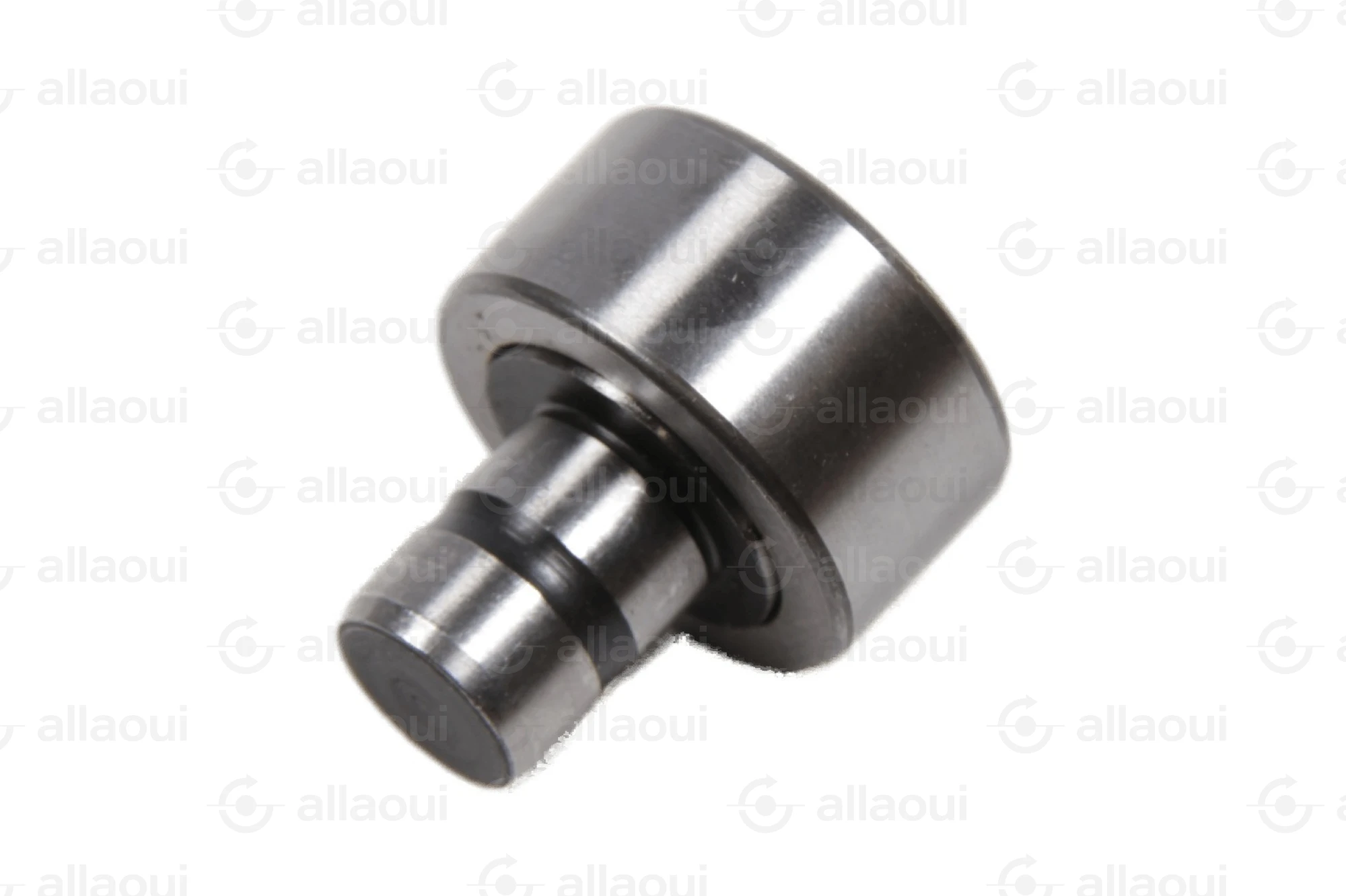 INA Cam Follower F-229817