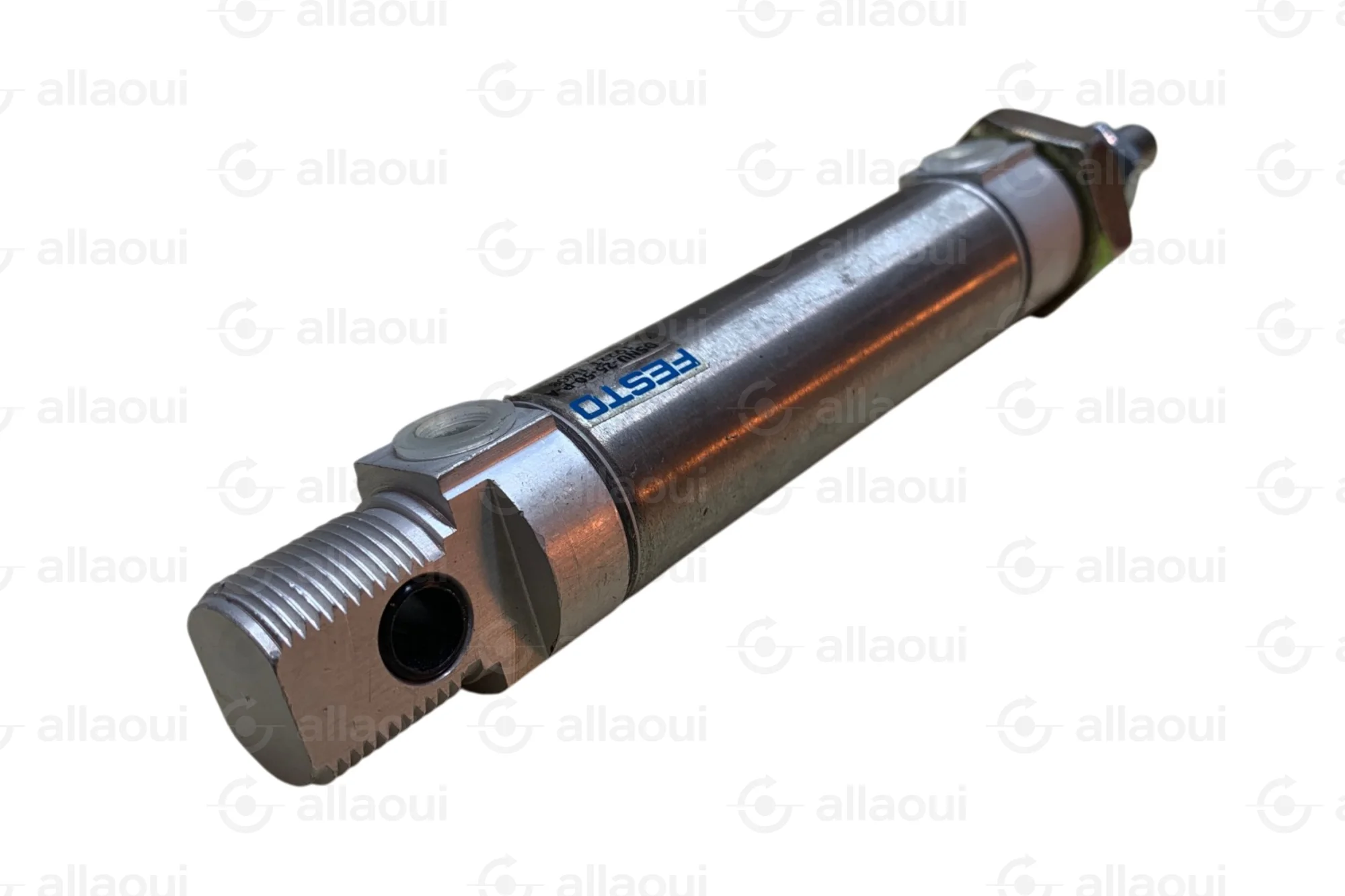 Festo Pneumatic Cylinder DSNU-20-100-PPV-A 19239