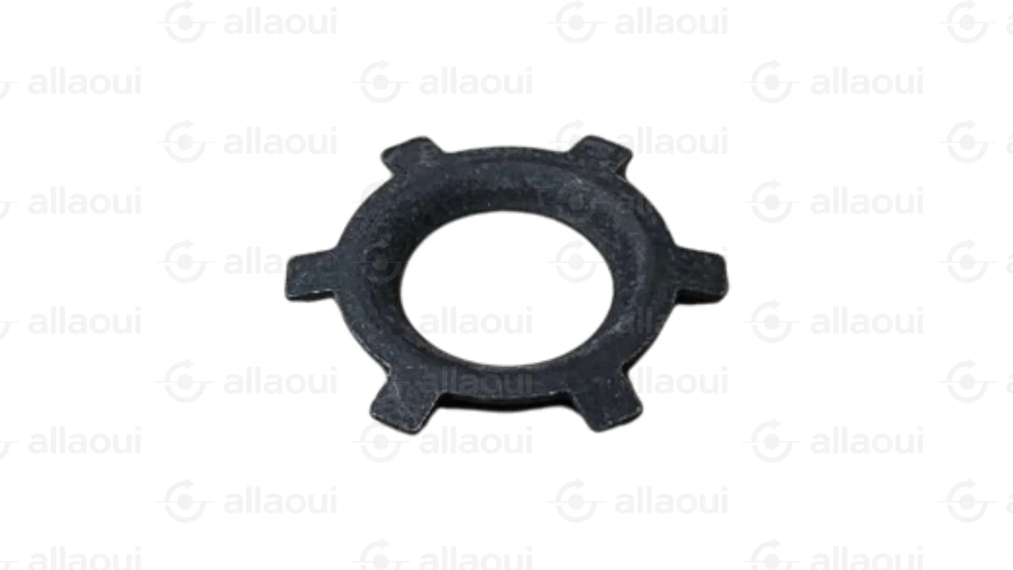 Ferag Retaining Ring 31143448