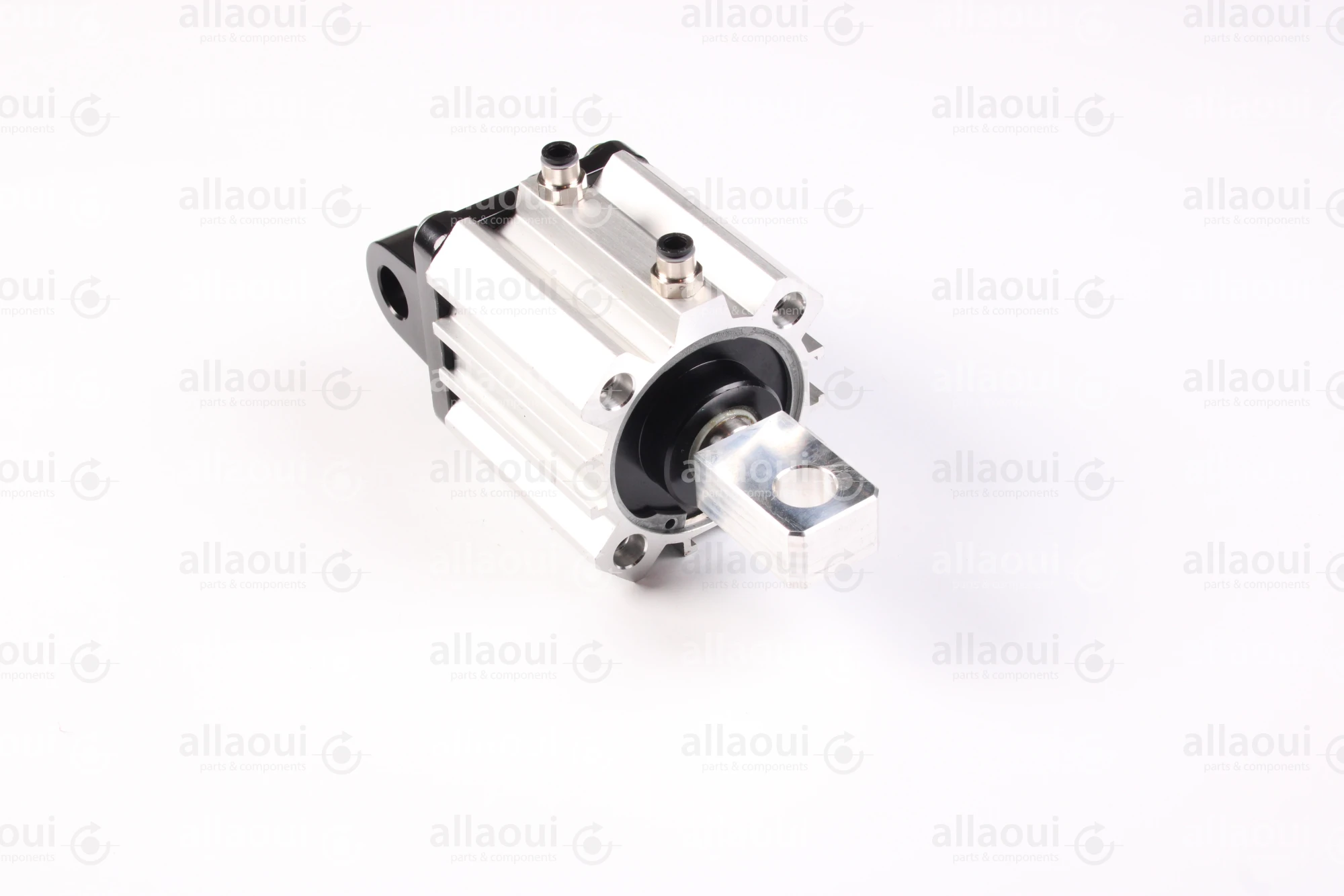 Elettra S.r.l Pneumatic Cylinder 1026653-00 Elettra S.r.l Pneumatic Cylinder 1026653-00