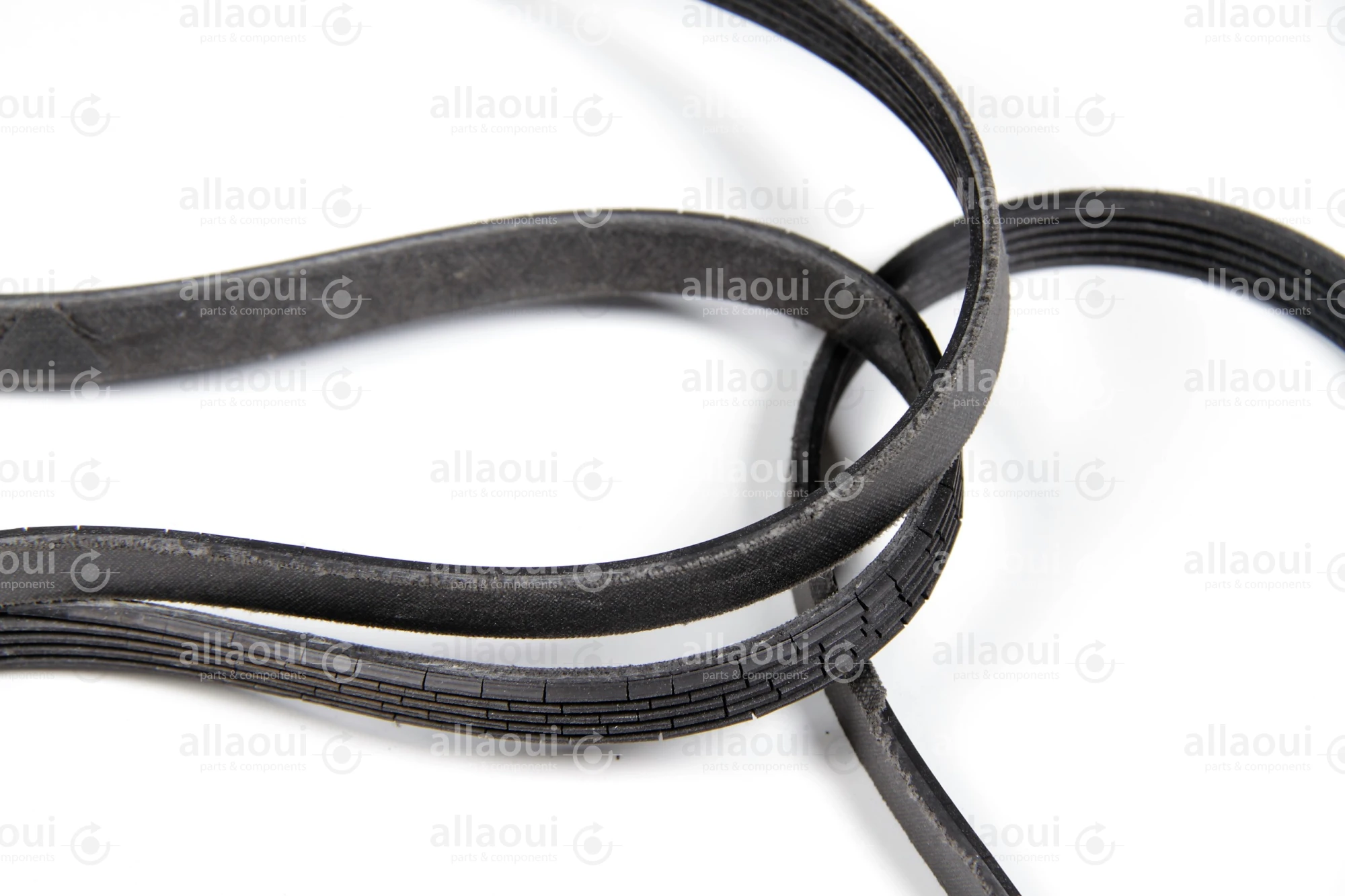 MBO Poly-V-Belt J8-1651 LW 0107853 MBO Poly-V-Belt J8-1651 LW 0107853