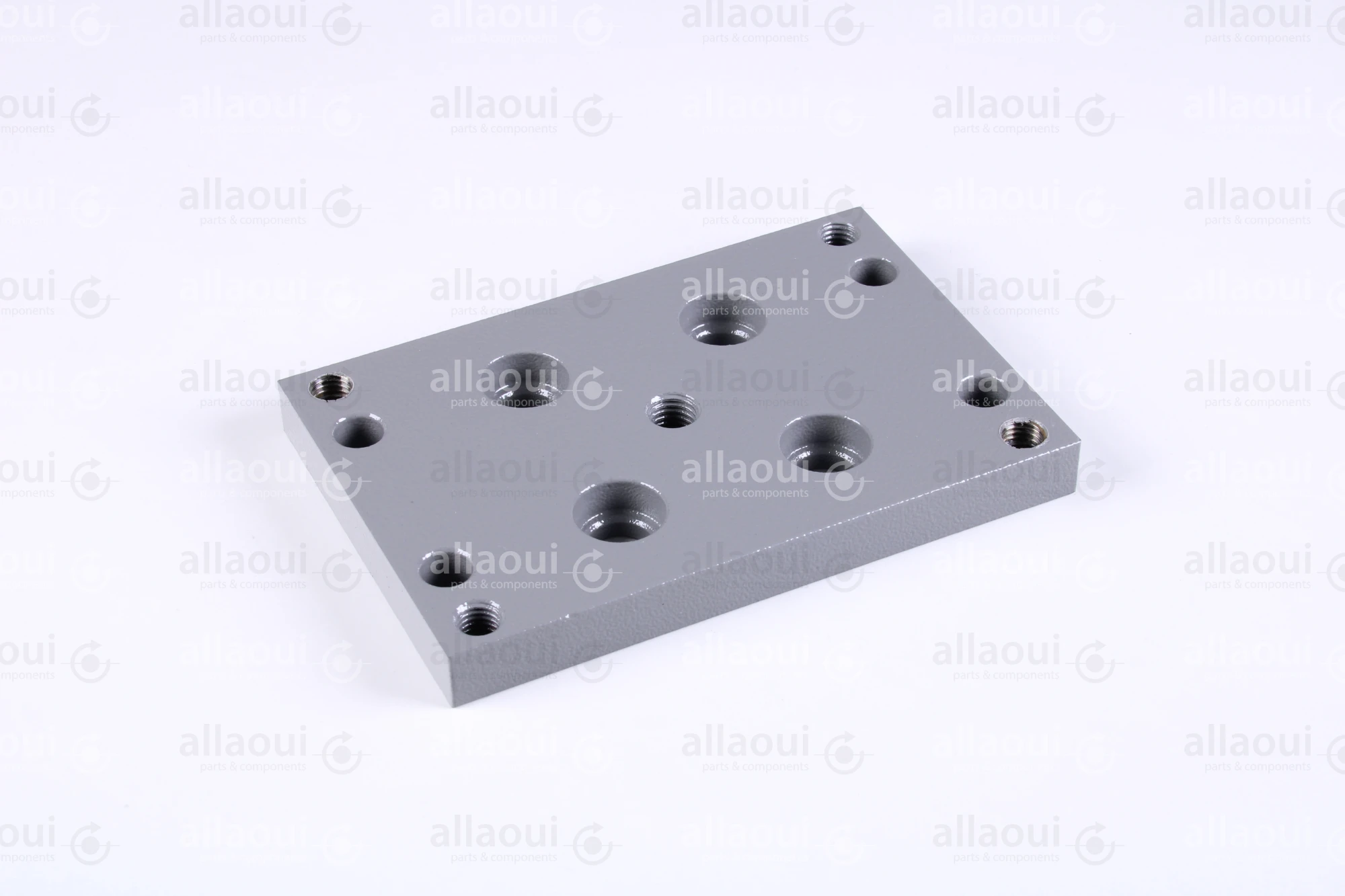 Polar Holder 282307 Polar Holder 282307