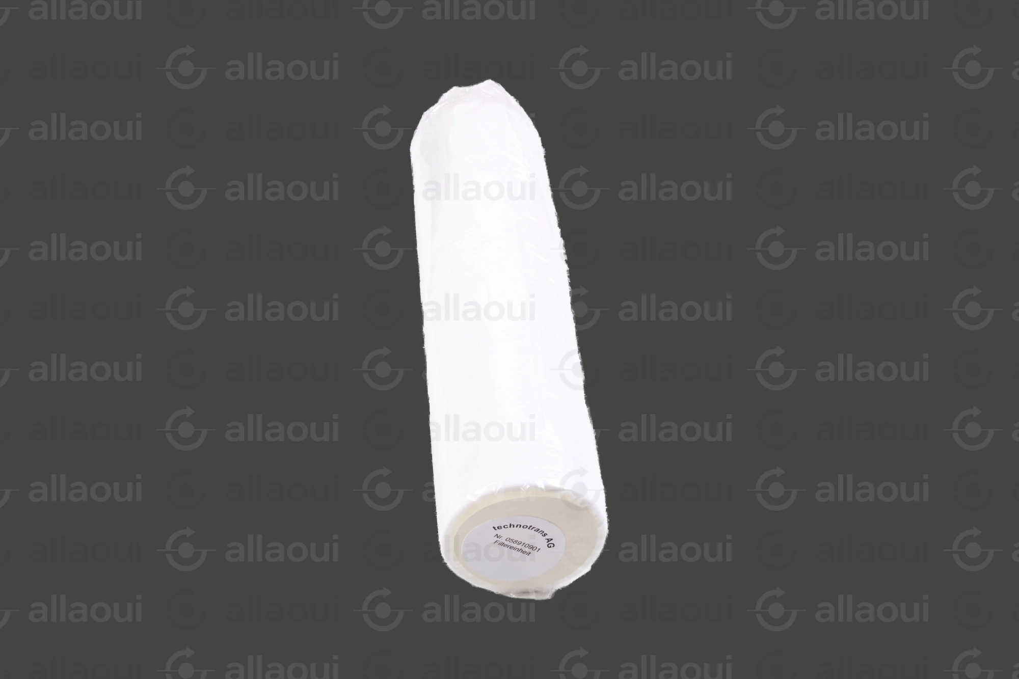 Technotrans Filter 058910901
