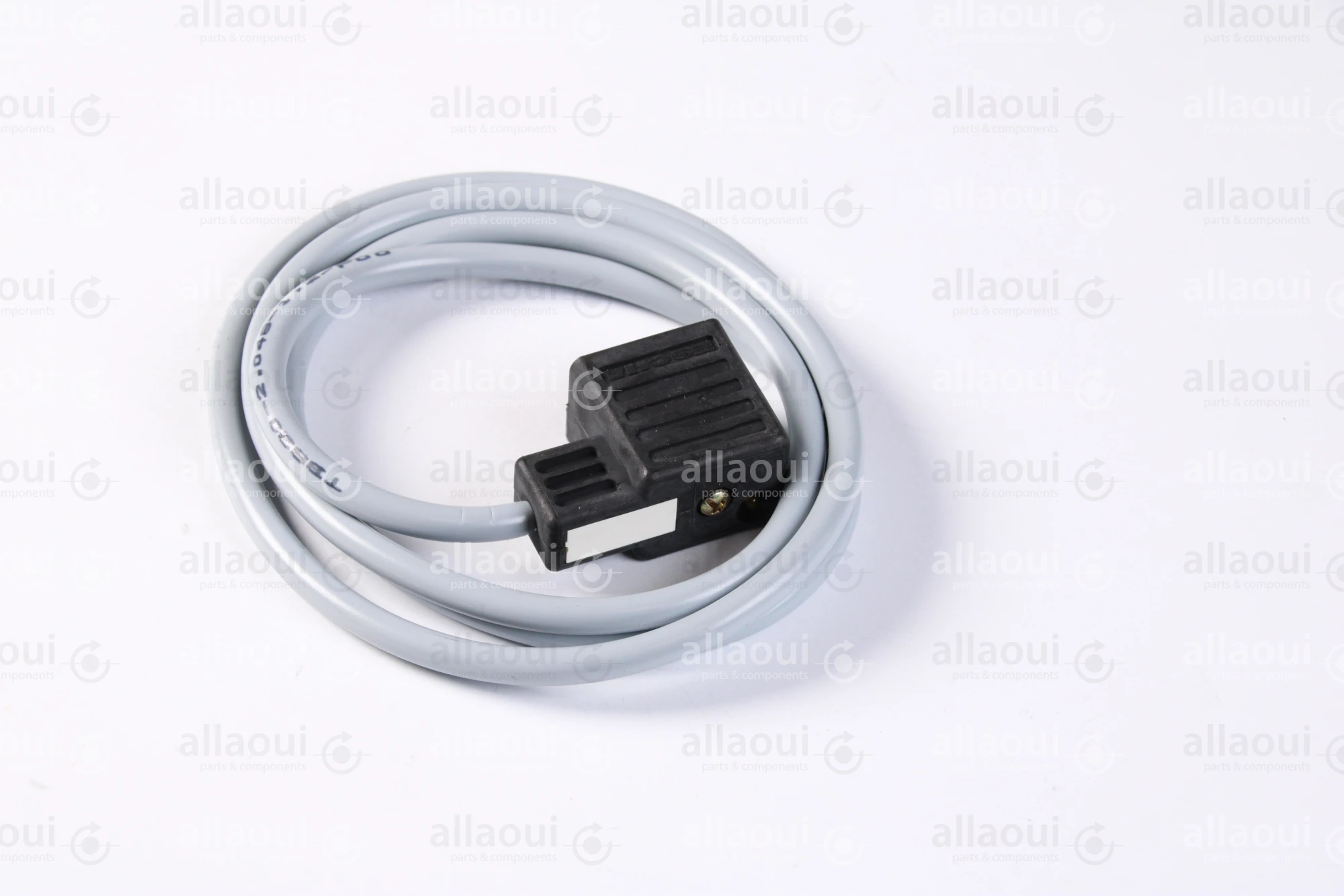 Escha 2-Pole Magnet Connector with Cable TBS20-2.048-1,2/P00 Escha 2-Pole Magnet Connector with Cable TBS20-2.048-1,2/P00
