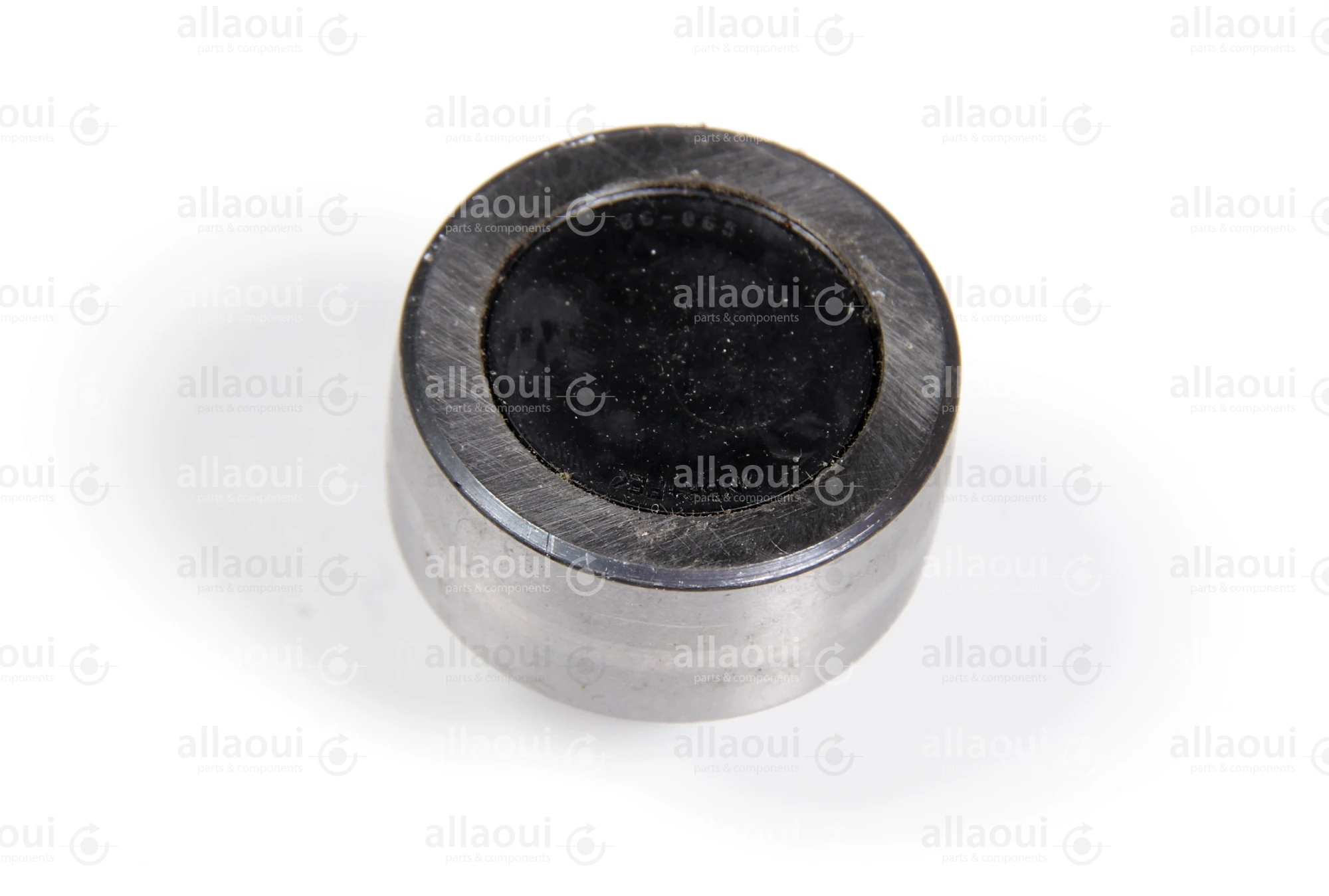 INA Tension Pulley F-231417.04.BSR INA Tension Pulley F-231417.04.BSR
