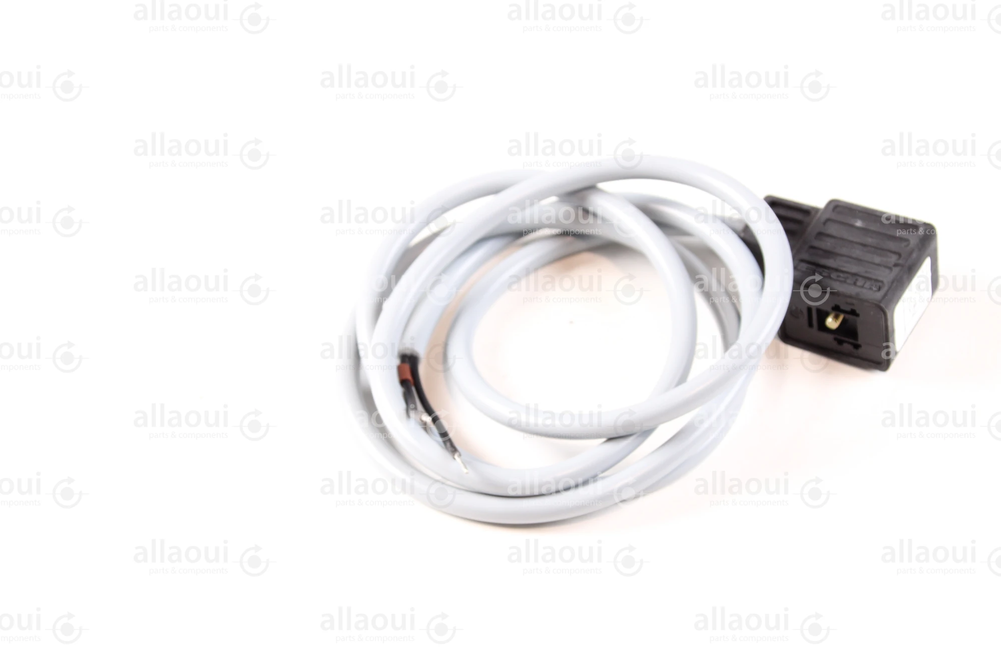 Escha 2-Pole Magnet Connector with Cable TBS20-2.048-1,2/P00 Escha 2-Pole Magnet Connector with Cable TBS20-2.048-1,2/P00