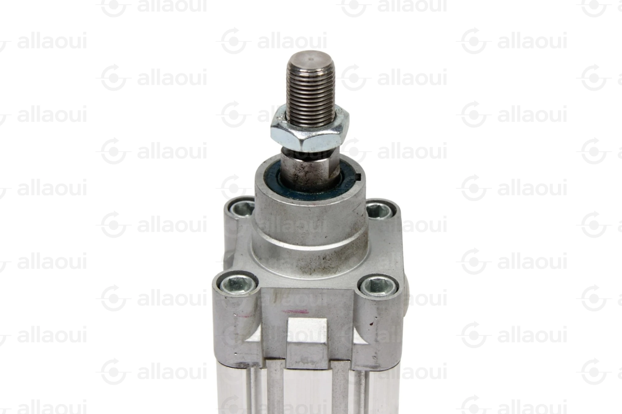 Festo Pneumatic Cylinder DNC-50-80-PPV-A