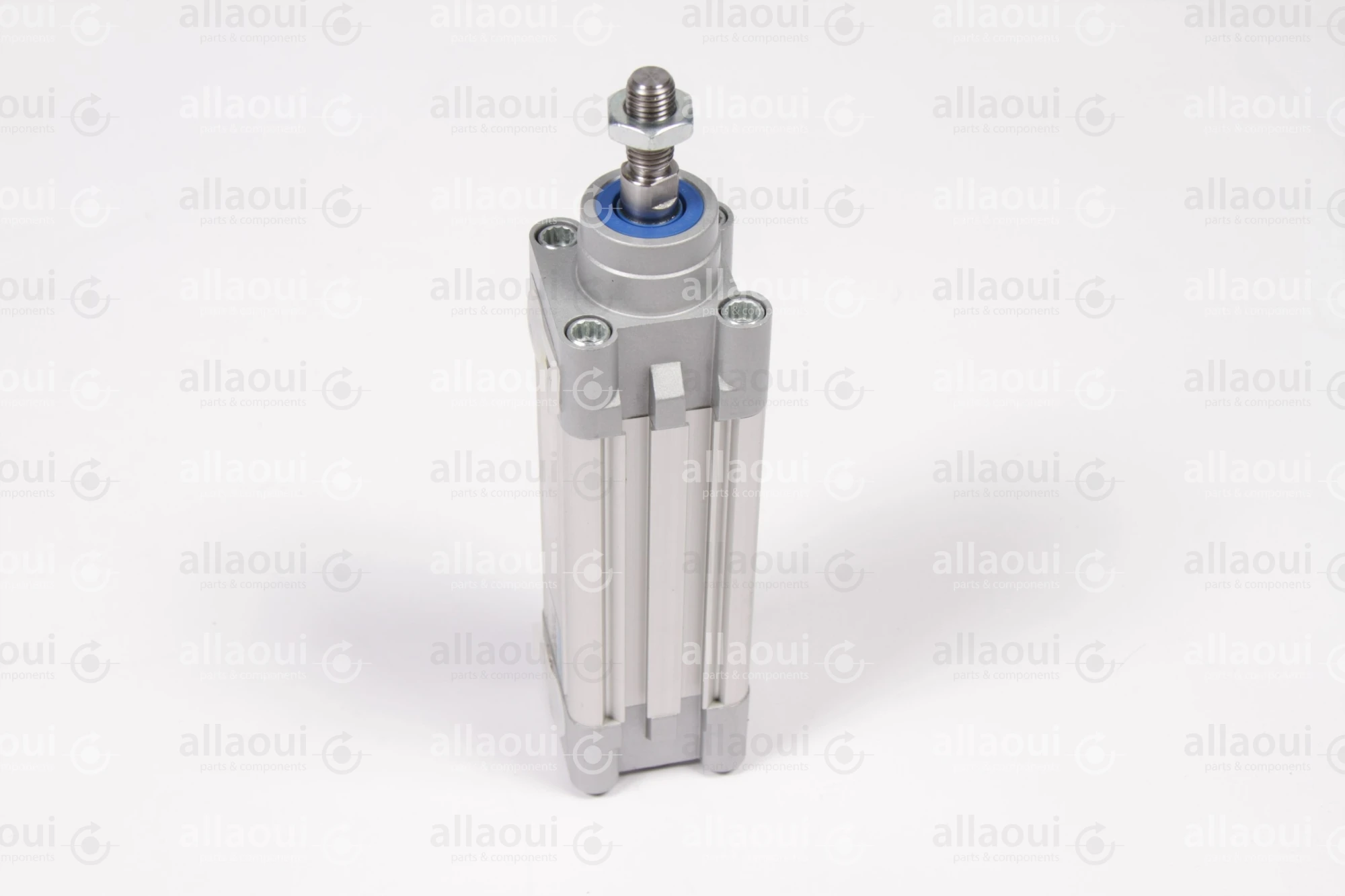 Festo Pneumatic Cylinder DNC-32-50-PPV-A Festo Pneumatic Cylinder DNC-32-50-PPV-A