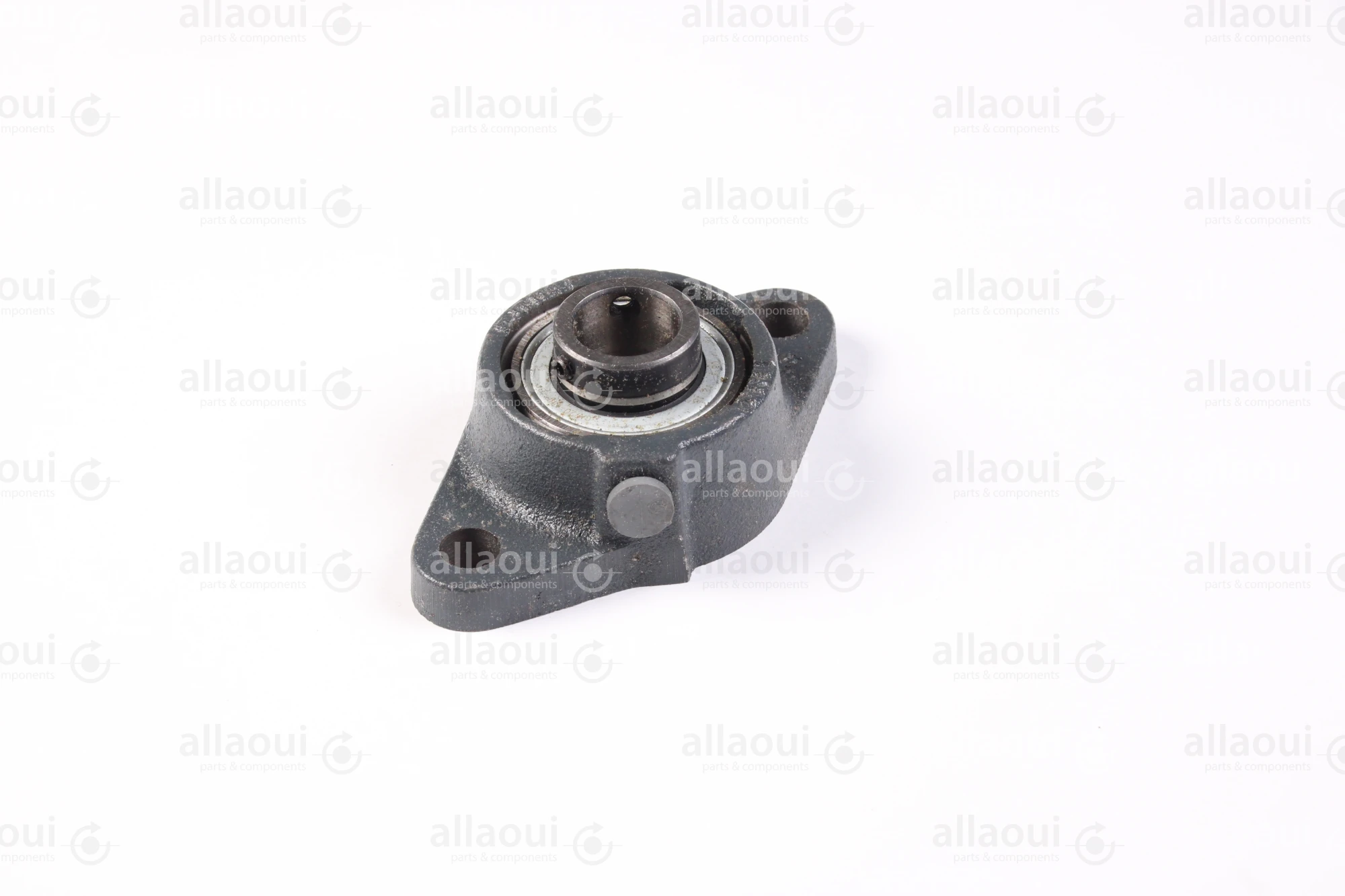Manroland Two-Bore Flange Bearing Housing Unit 16.97060-5120 Manroland Two-Bore Flange Bearing Housing Unit 16.97060-5120