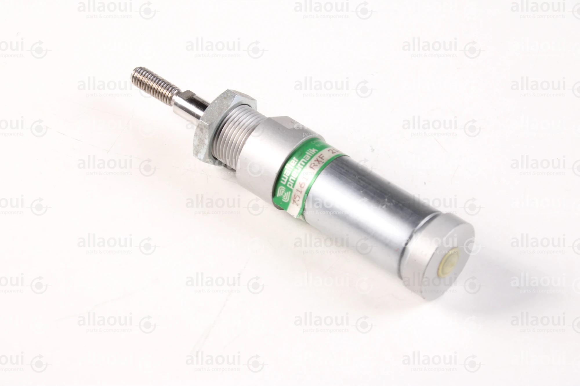 Walter Pneumatik Pneumatic Cylinder RXF-21-25-25-006 Walter Pneumatik Pneumatic Cylinder RXF-21-25-25-006