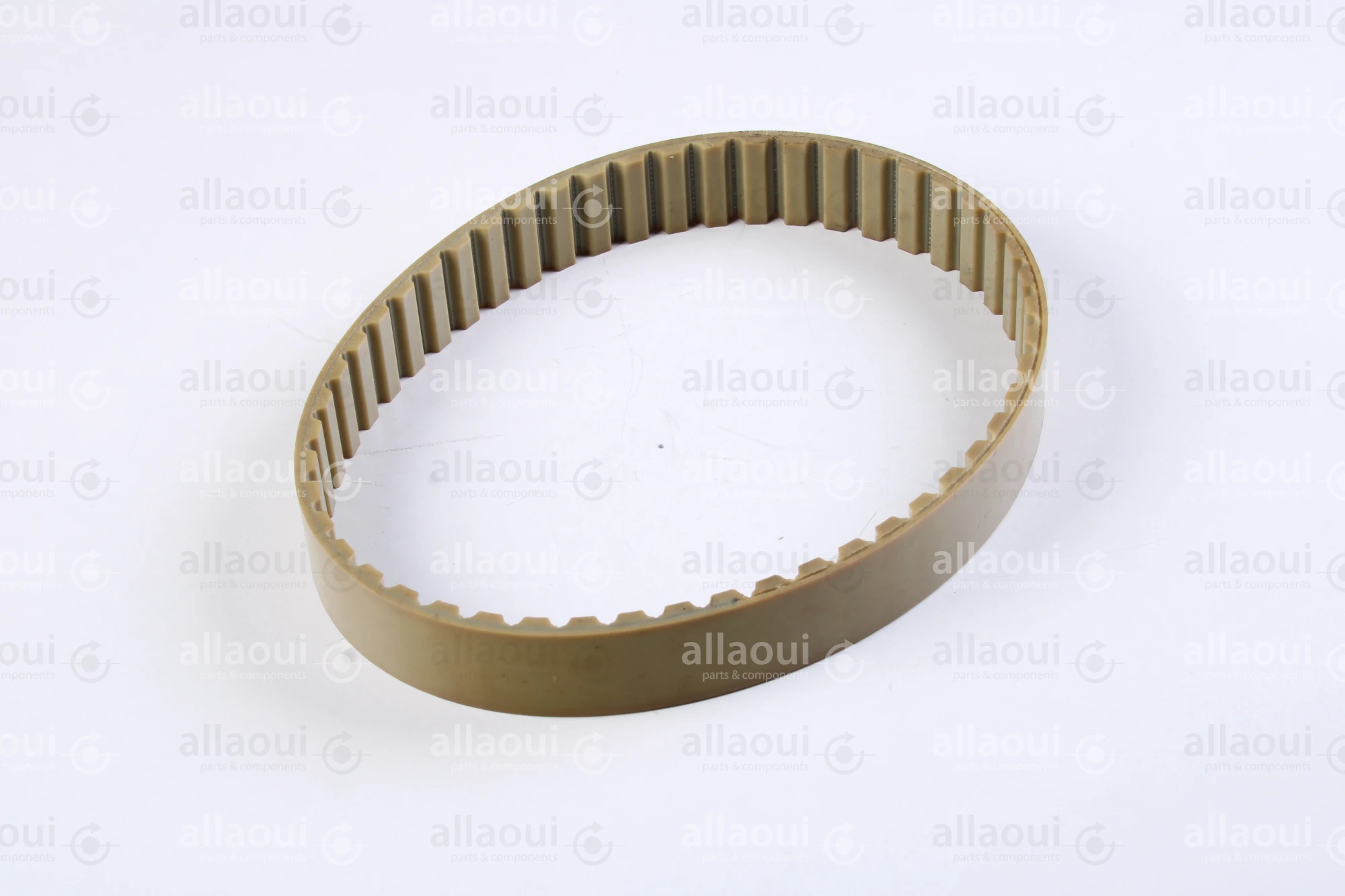 Müller Martini Timing Belt 3646.1267.4 Müller Martini Timing Belt 3646.1267.4