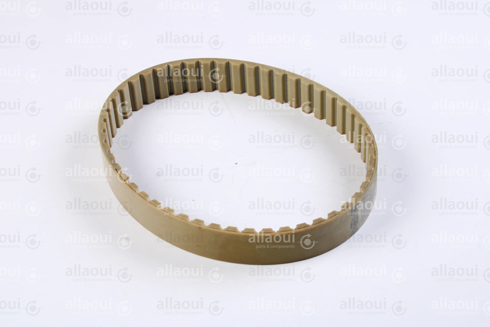 Müller Martini Timing Belt 3646.1267.4 Müller Martini Timing Belt 3646.1267.4