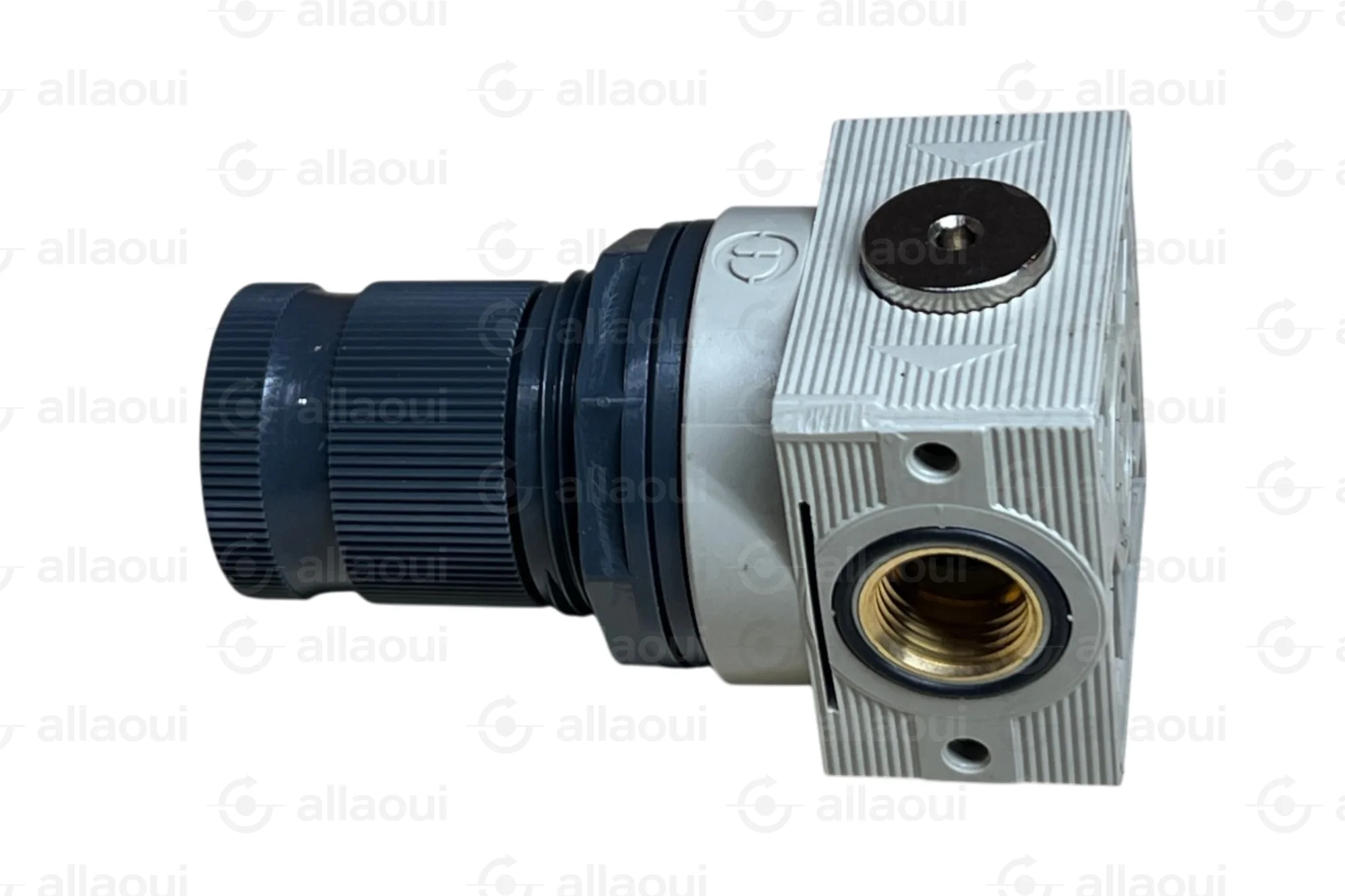 Metal Work Micro Pressure Regulator 1/4 Inch 5207003 Metal Work Micro Pressure Regulator 1/4 Inch 5207003