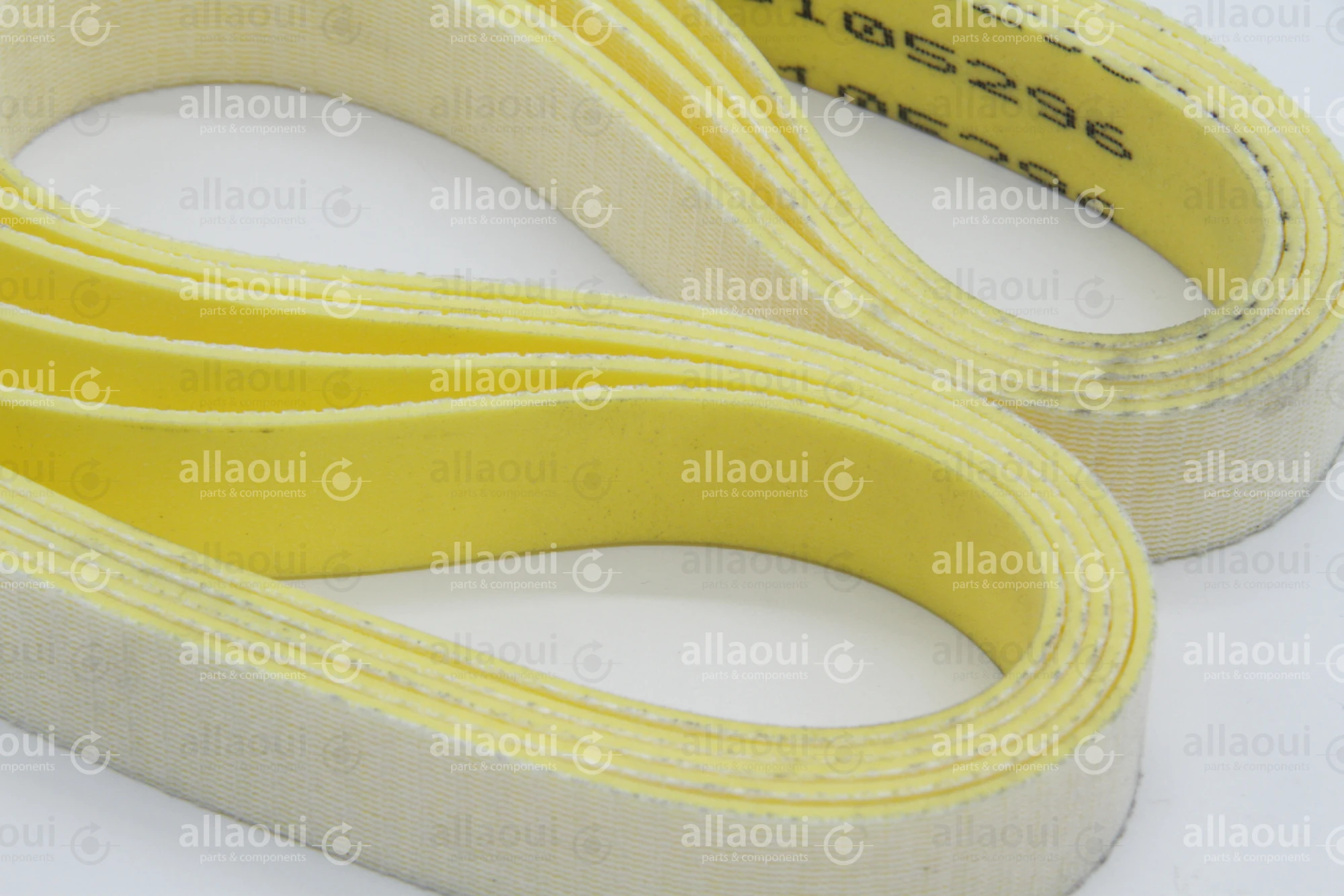 MBO Transport Belt 0105296 MBO Transport Belt 0105296