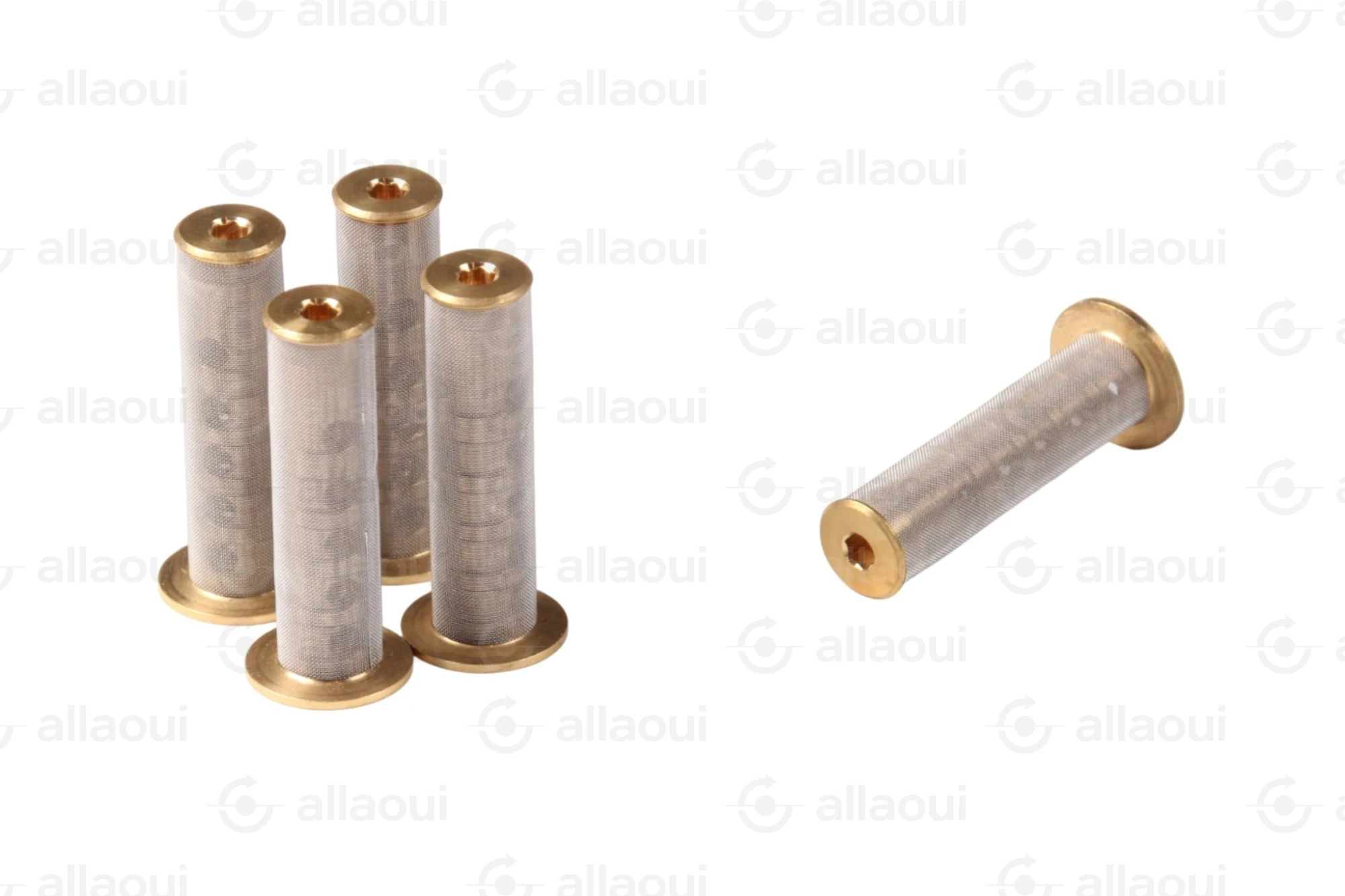 Elettra S.r.l. Mesh Filter (5 Pieces) 9000218-00