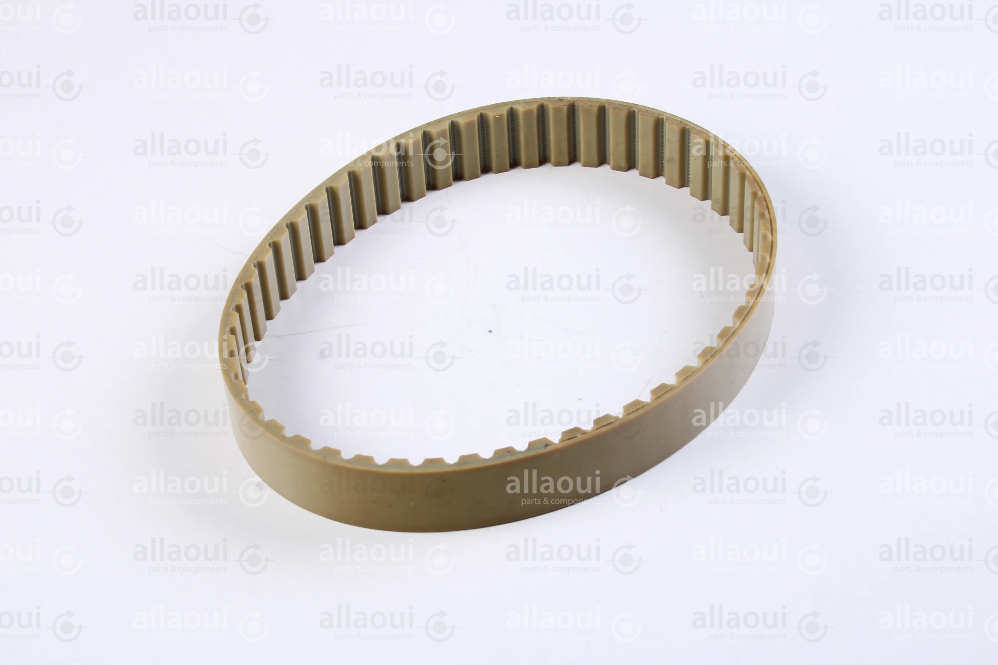 Müller Martini Timing Belt 3646.1267.4 Müller Martini Timing Belt 3646.1267.4
