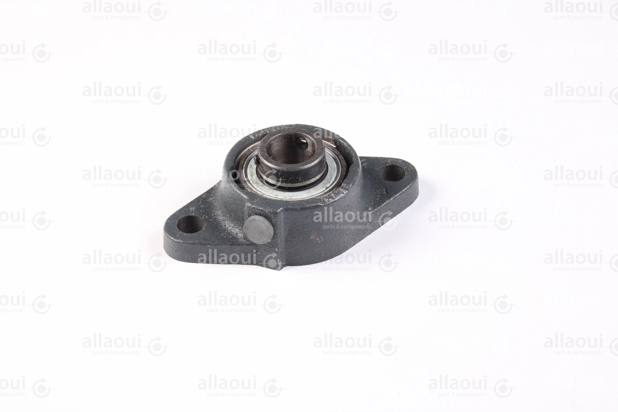 Manroland Two-Bore Flange Bearing Housing Unit 16.97060-5120 Manroland Two-Bore Flange Bearing Housing Unit 16.97060-5120