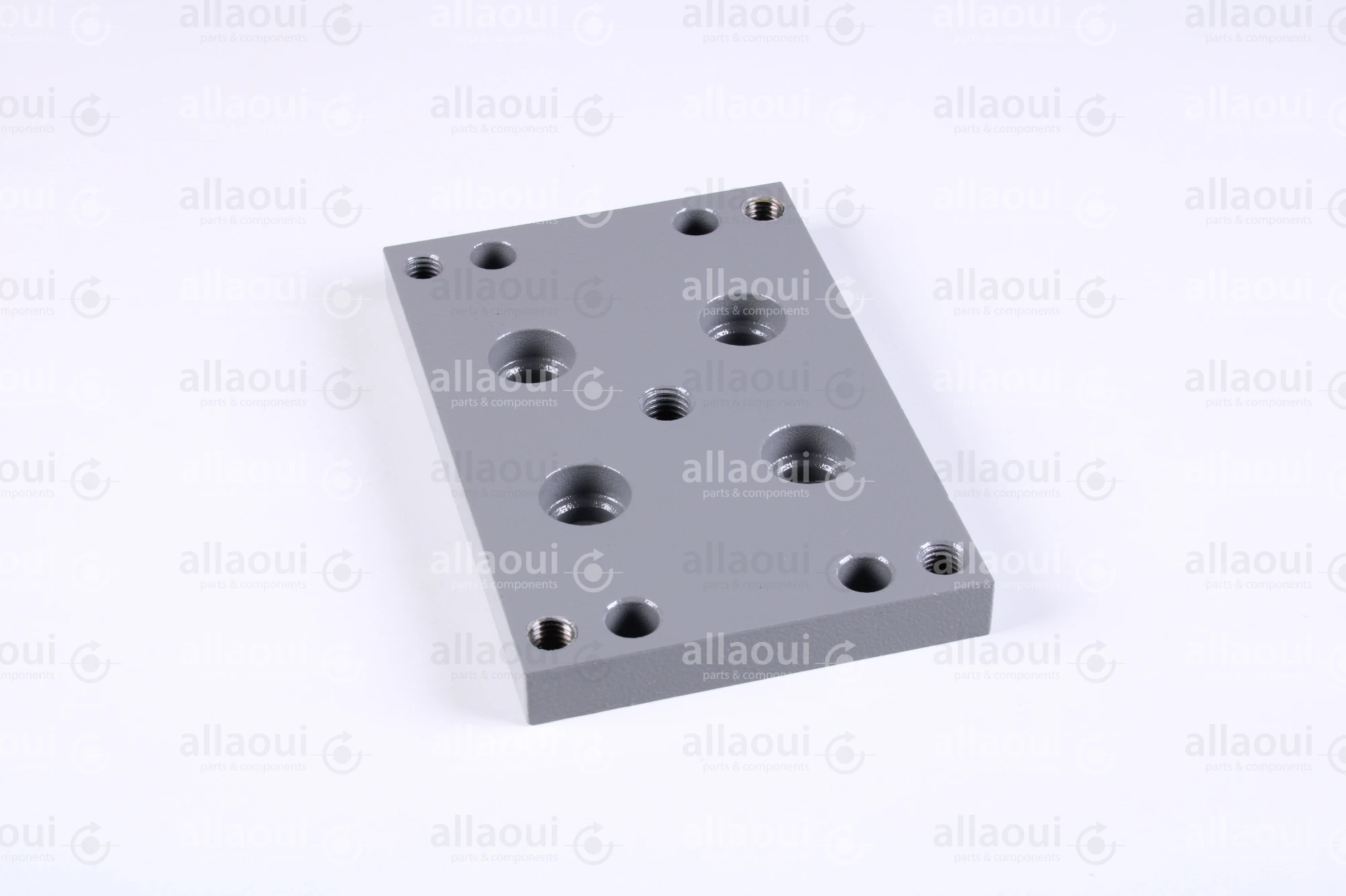 Polar Holder 282307 Polar Holder 282307