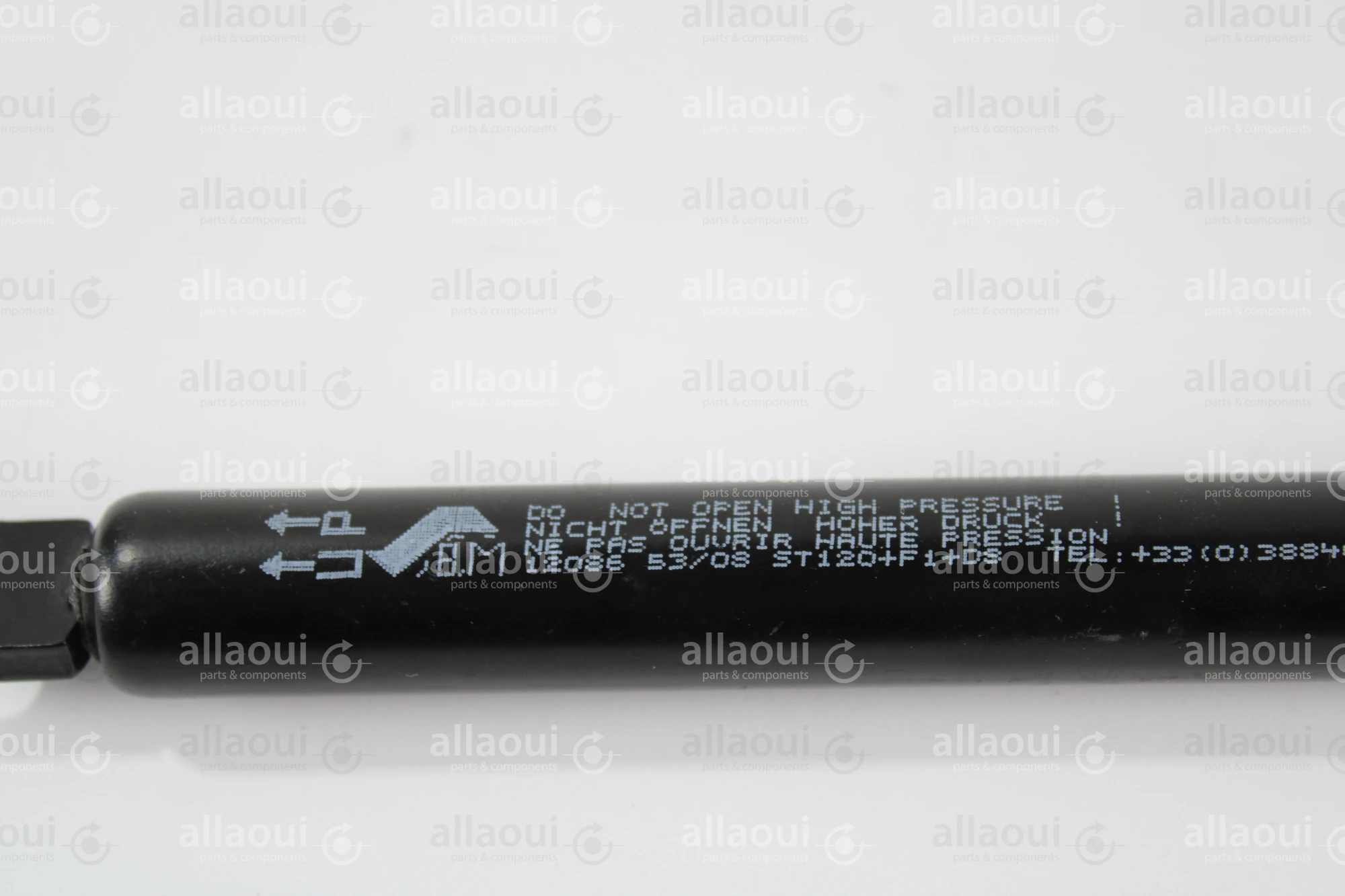 Berthold Marx Gas Spring 120200D8-1010 Berthold Marx Gas Spring 120200D8-1010