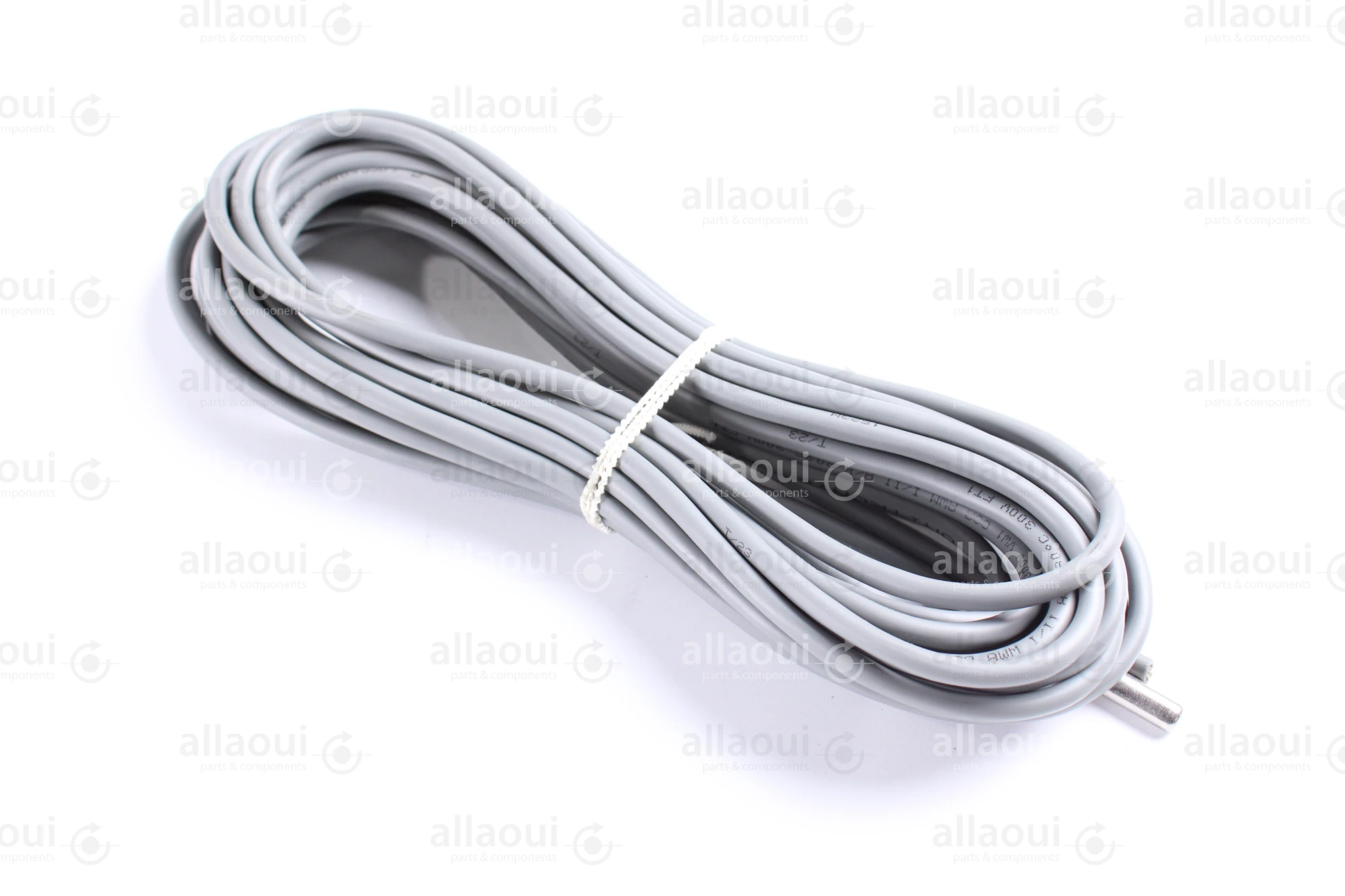 Technotrans Temperature Sensor 065066137 Technotrans Temperature Sensor 065066137