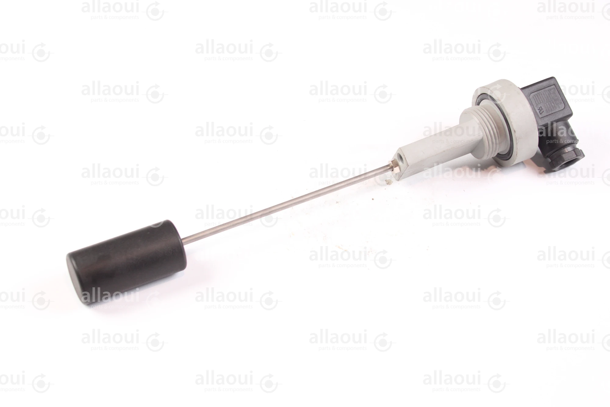 F. lli Giacomello Single Float Level Switch RL-G1-1-S2 F. lli Giacomello Single Float Level Switch RL-G1-1-S2