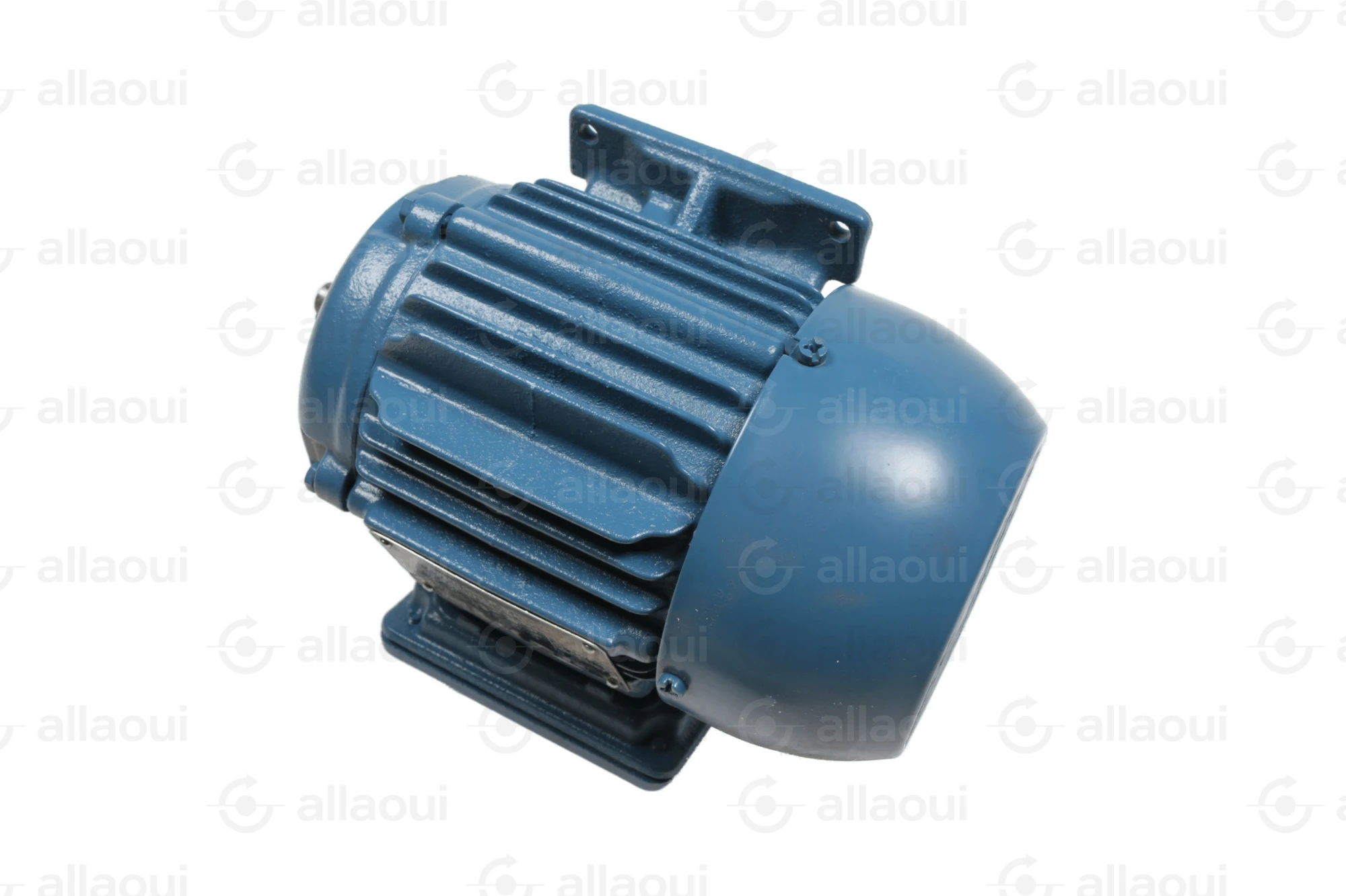 Weg Motor W22 Weg Motor W22