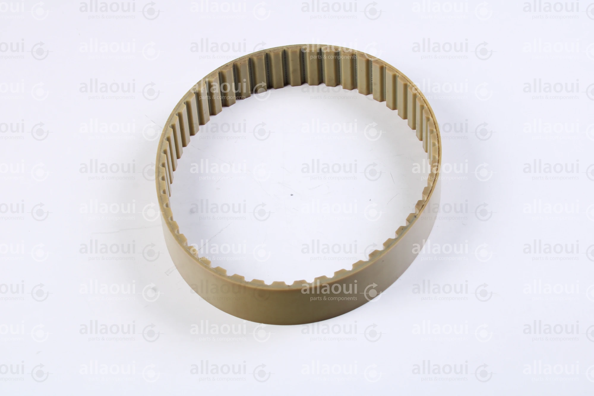Müller Martini Timing Belt 3646.1267.4 Müller Martini Timing Belt 3646.1267.4