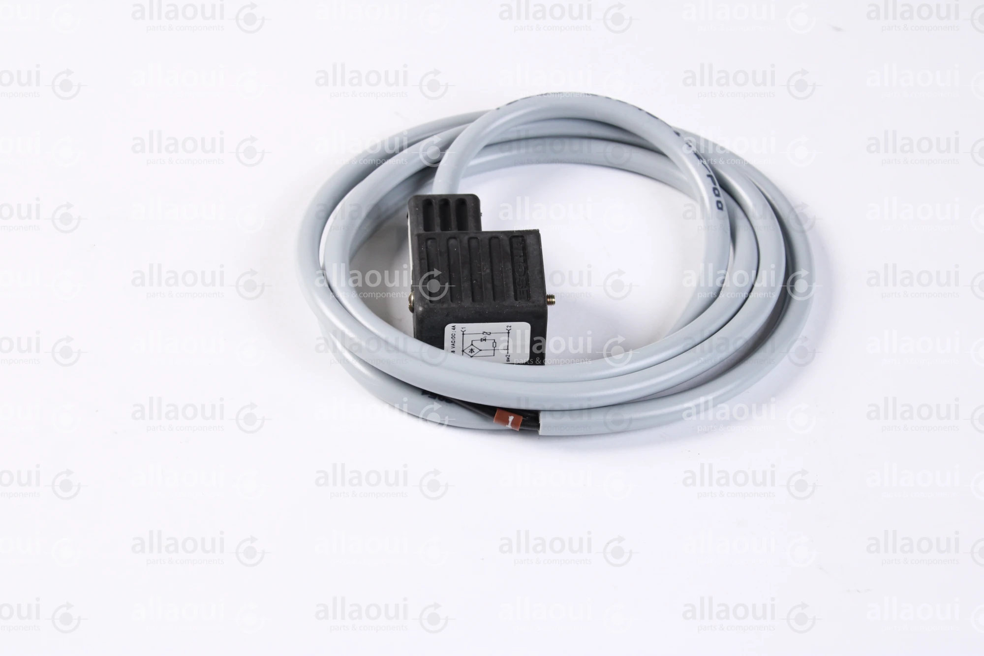 Escha 2-Pole Magnet Connector with Cable TBS20-2.048-1,2/P00 Escha 2-Pole Magnet Connector with Cable TBS20-2.048-1,2/P00