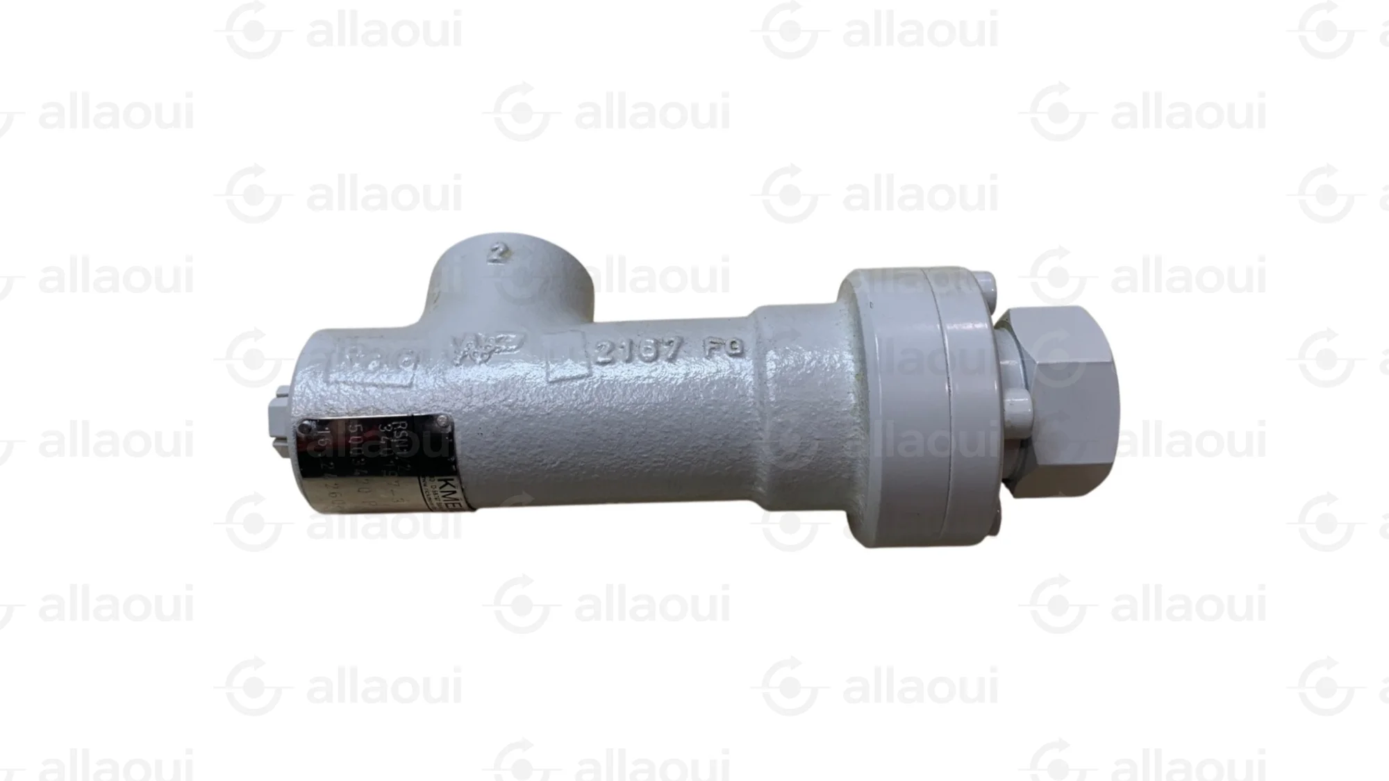 Rickmeier Pressure Limiting Valve RSN 1/2 16.24260-0141