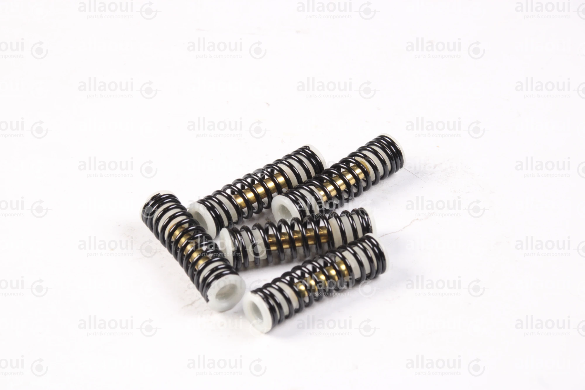Technotrans Spring TTS-Paint Valve (5 Pieces) 0011205 Technotrans Spring TTS-Paint Valve (5 Pieces) 0011205