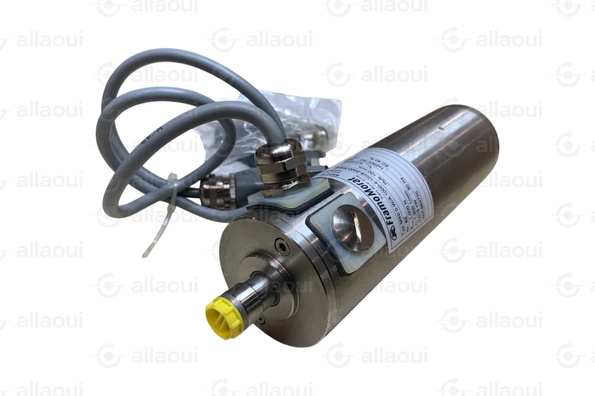 FramoMorat Spindle Motor MINI-0-W/A-1000-4-100