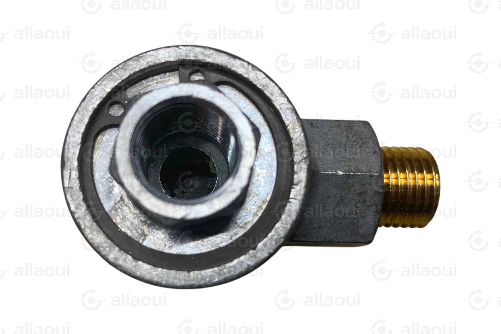 Contiweb Rapid Ventilating Valve G 1/4" WH.090255026 Contiweb Rapid Ventilating Valve G 1/4" WH.090255026