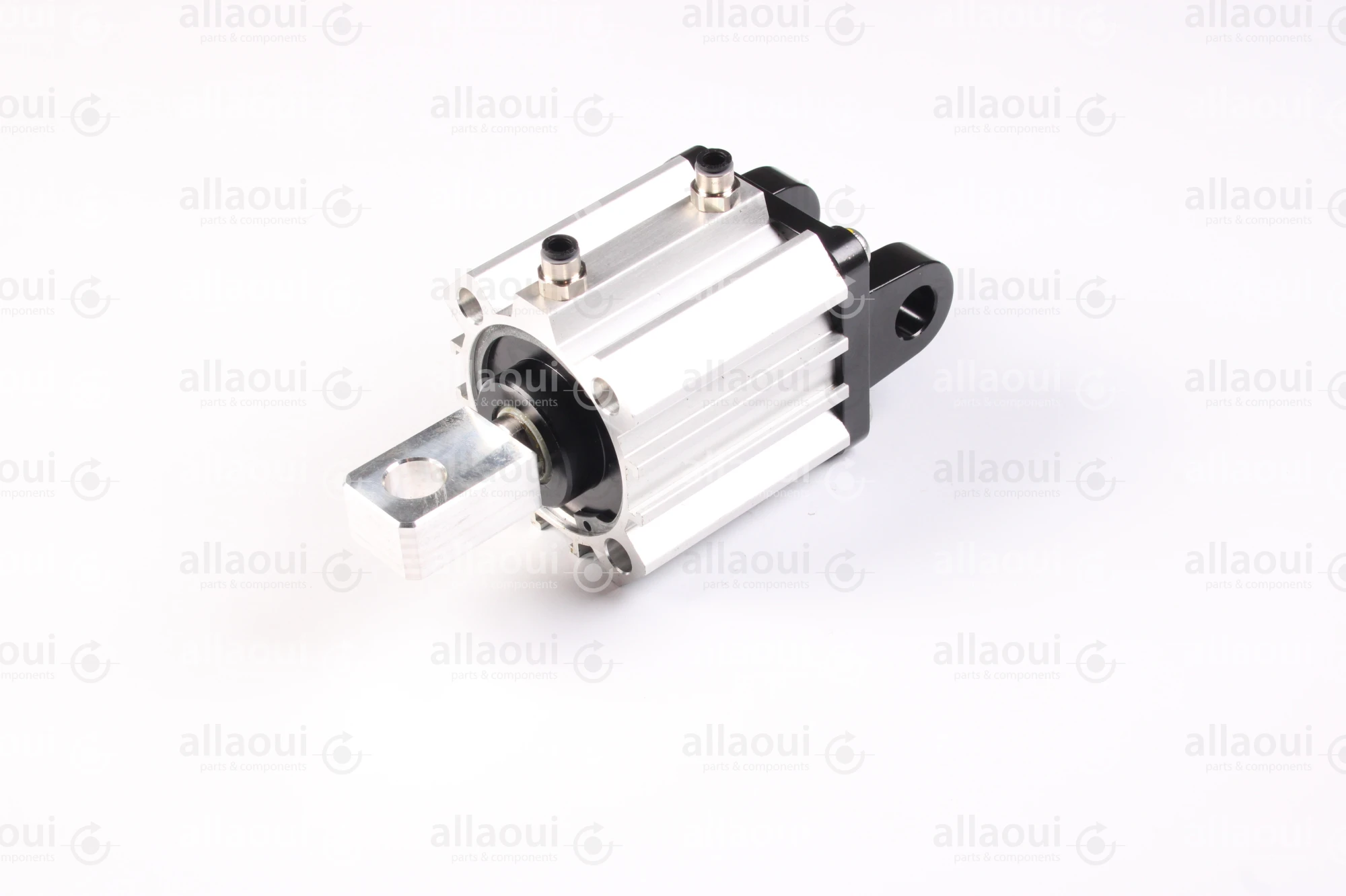 Elettra S.r.l Pneumatic Cylinder 1026653-00 Elettra S.r.l Pneumatic Cylinder 1026653-00