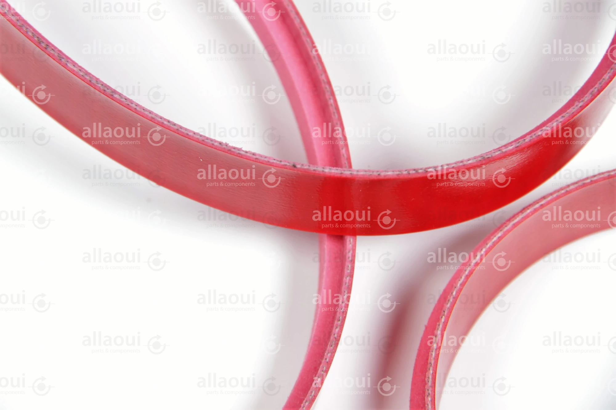 MBO Transport Belt 10.6400.0349 MBO Transport Belt 10.6400.0349