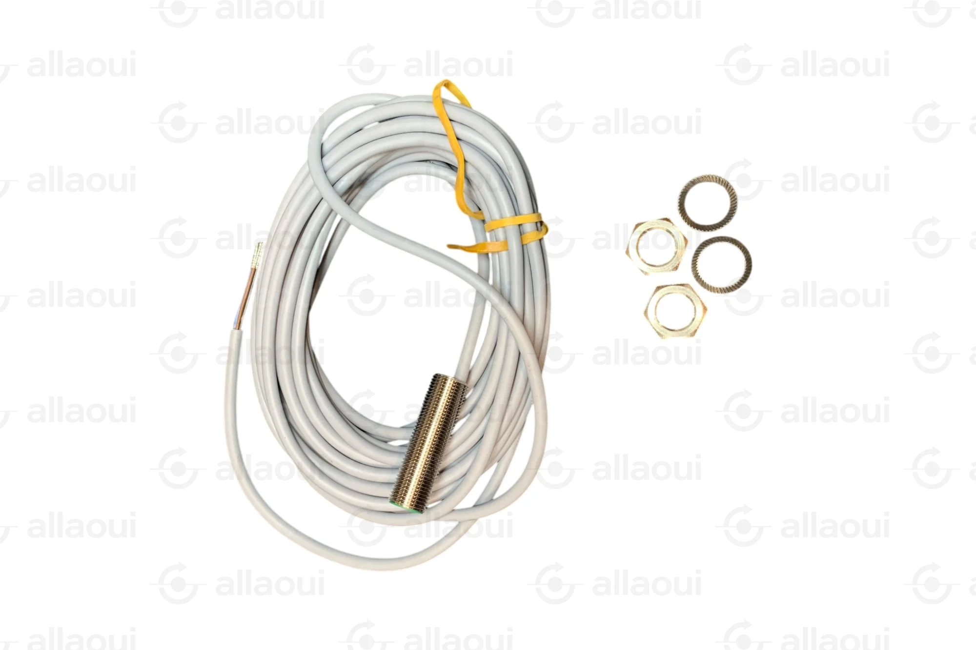 Baumer Inductive Sensor IFRM 12P17/404919