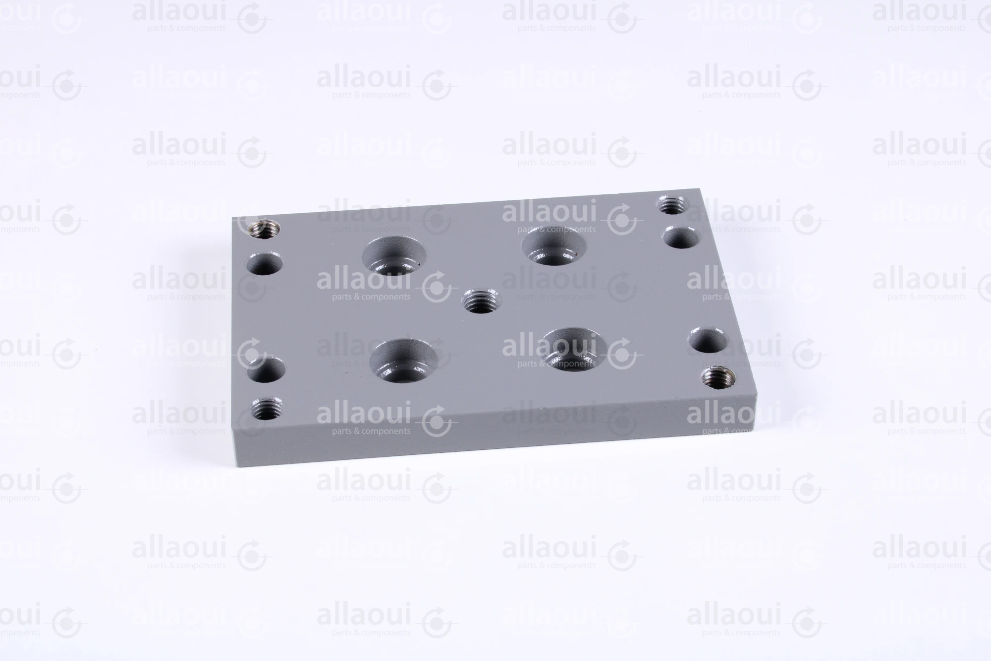 Polar Holder 282307 Polar Holder 282307