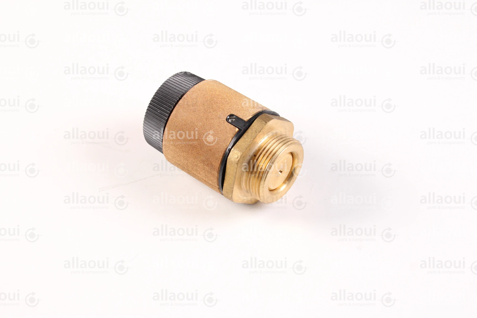 Becker Vacuum Regulating Valves 73600199624 Becker Vacuum Regulating Valves 73600199624