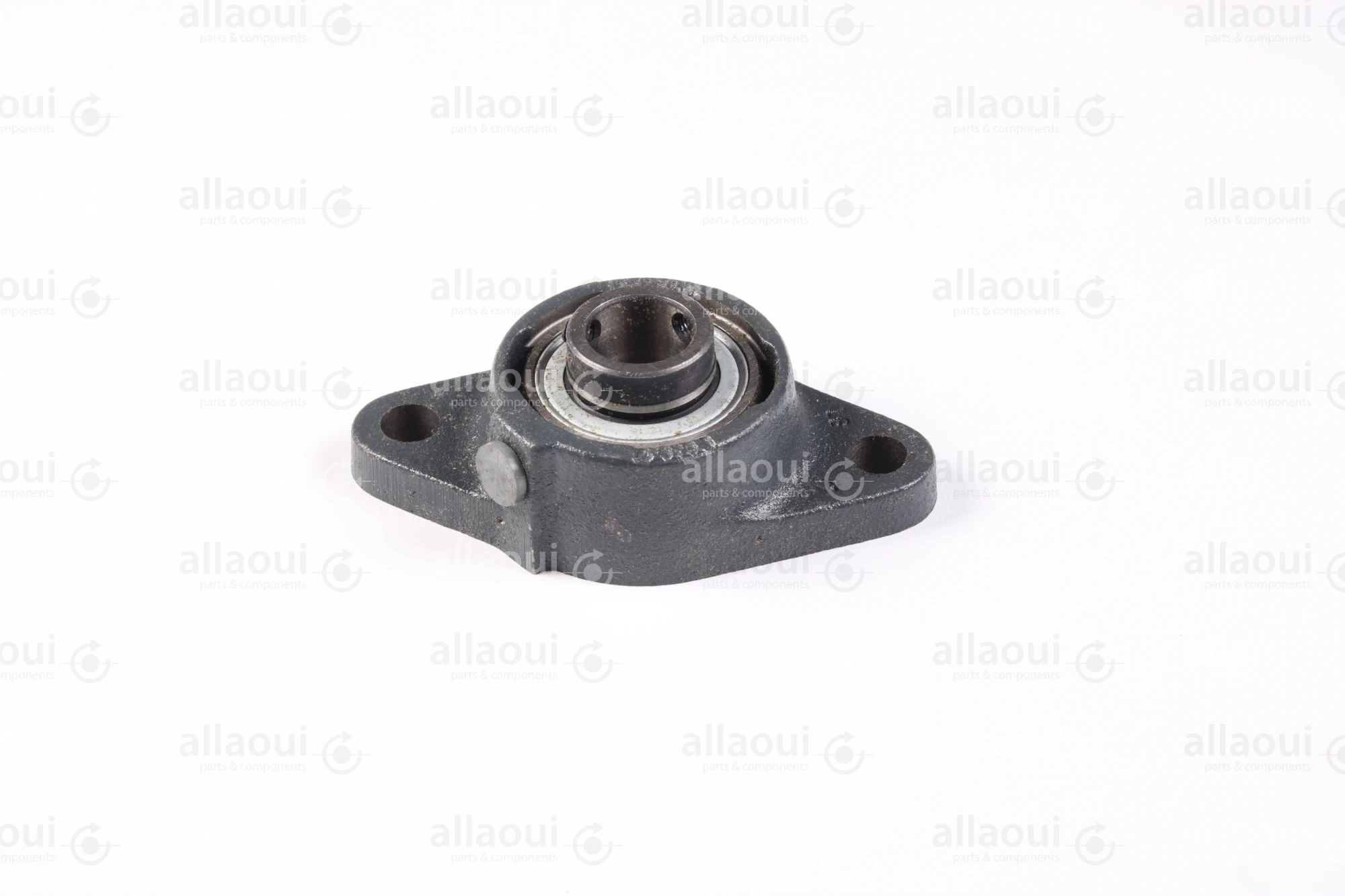 Manroland Two-Bore Flange Bearing Housing Unit 16.97060-5120 Manroland Two-Bore Flange Bearing Housing Unit 16.97060-5120