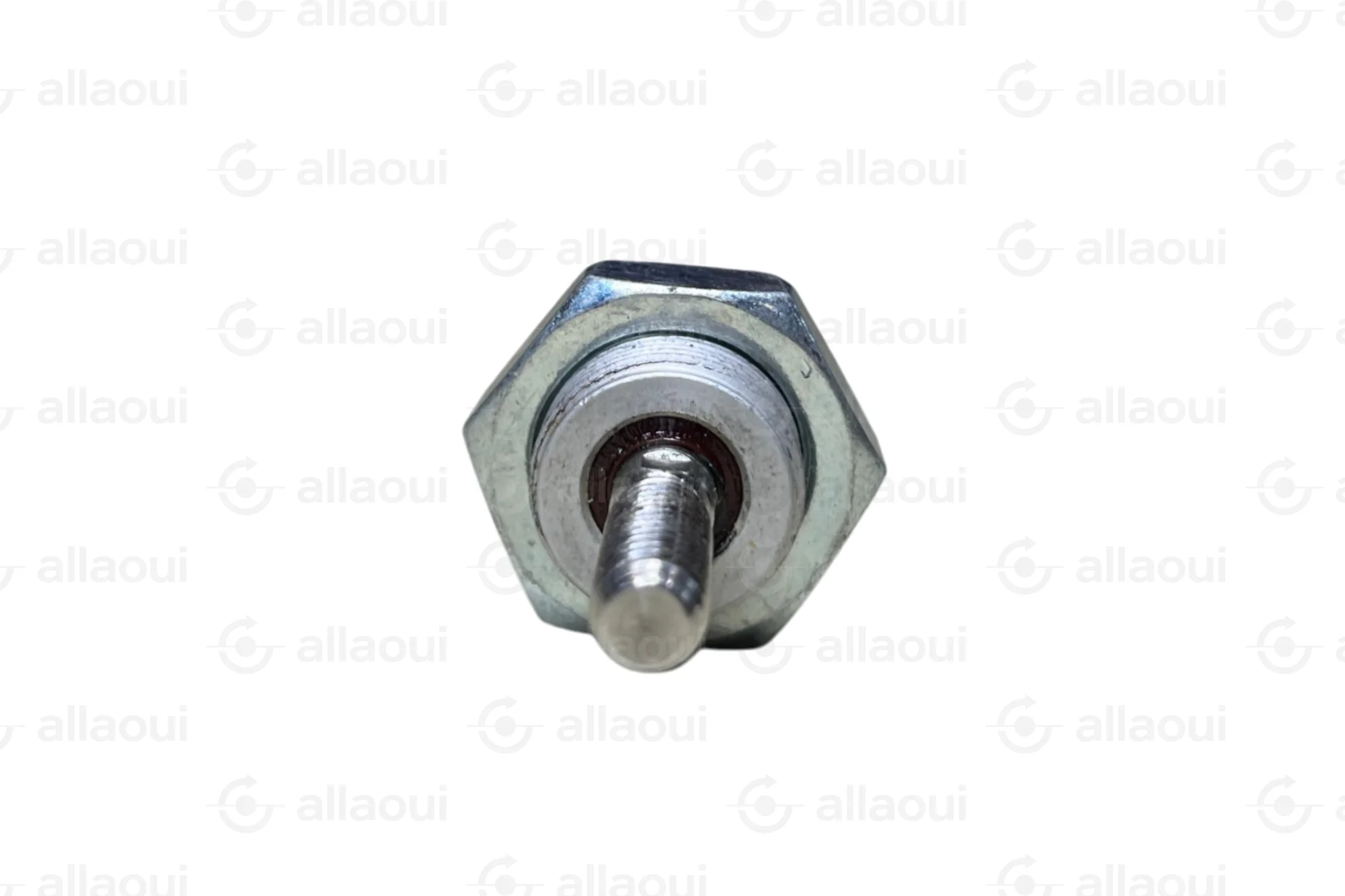 Festo Standard Cylinder 20mm Bore 100mm Stroke DSNU-20-100-PPV-A