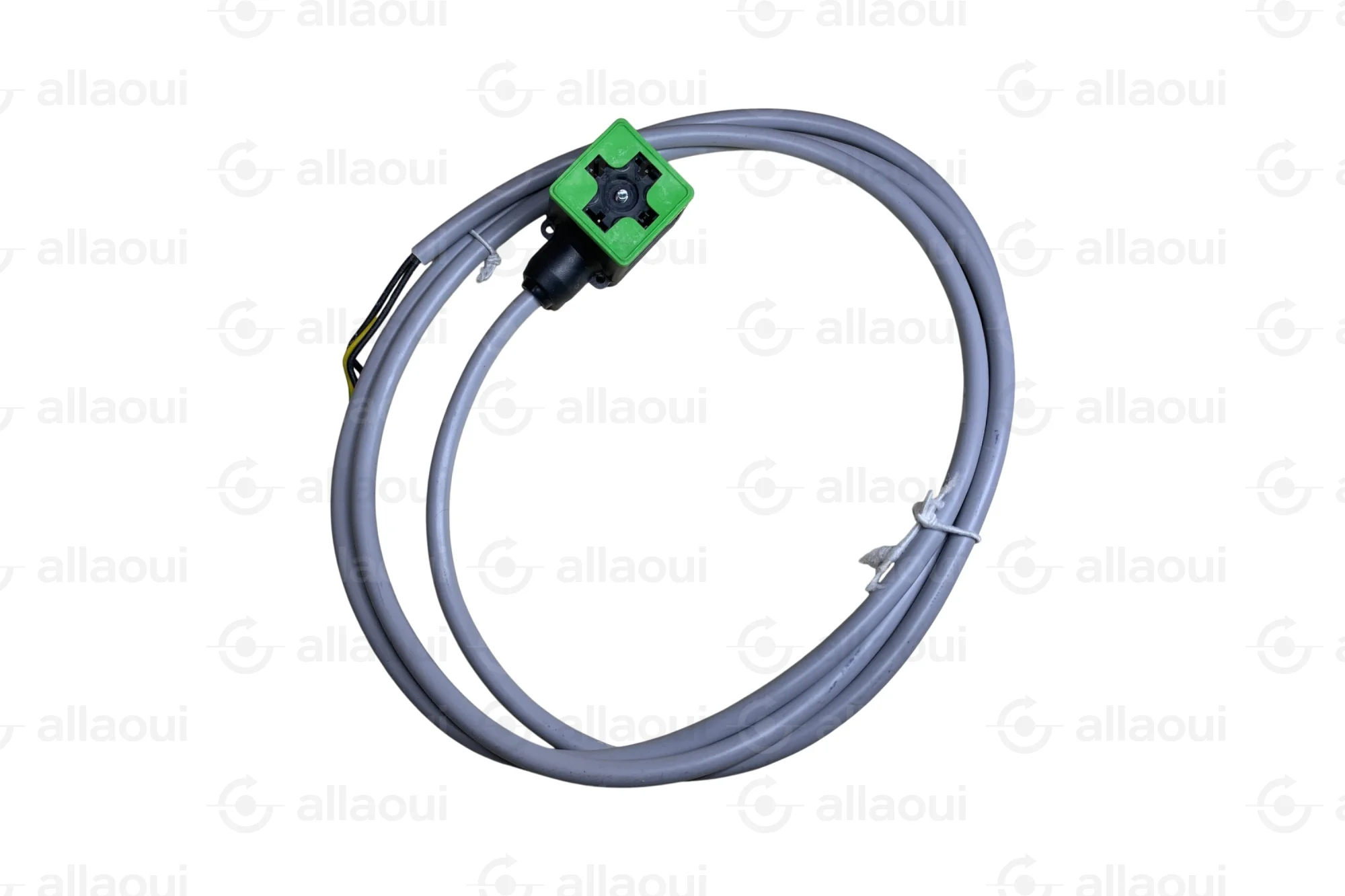 Murr MSUD Valve Plug A-18mm with Cable 1.5m 7000-18021-2160150