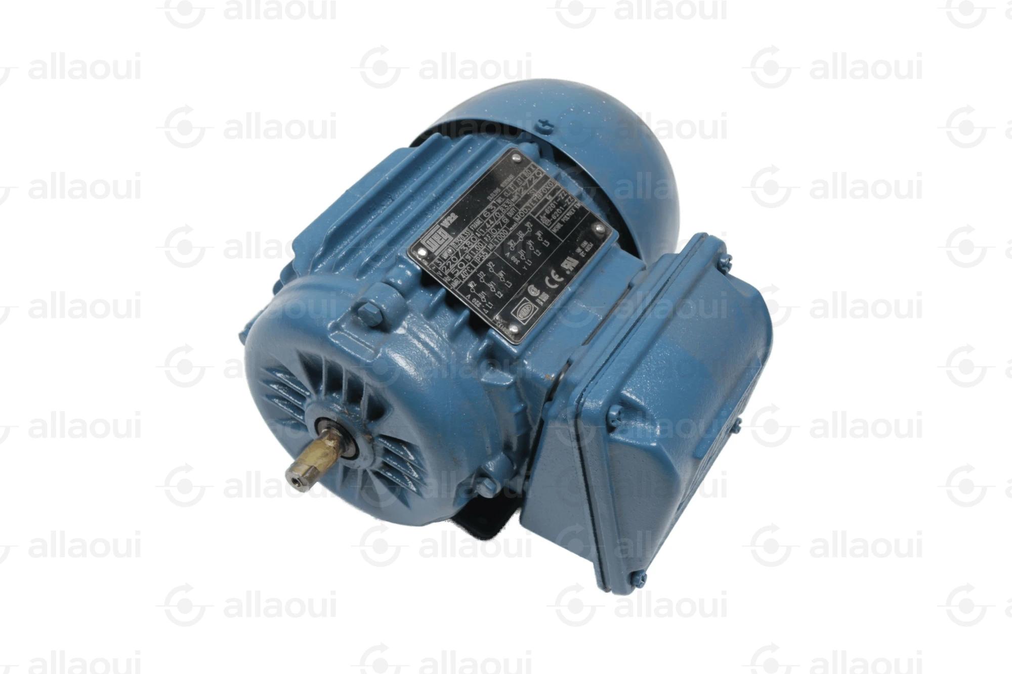 Weg Motor W22