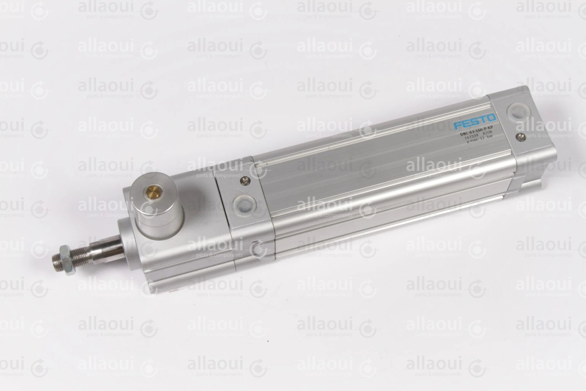 Festo Pneumatic Cylinder DNC-63-160-PPV-A Festo Pneumatic Cylinder DNC-63-160-PPV-A