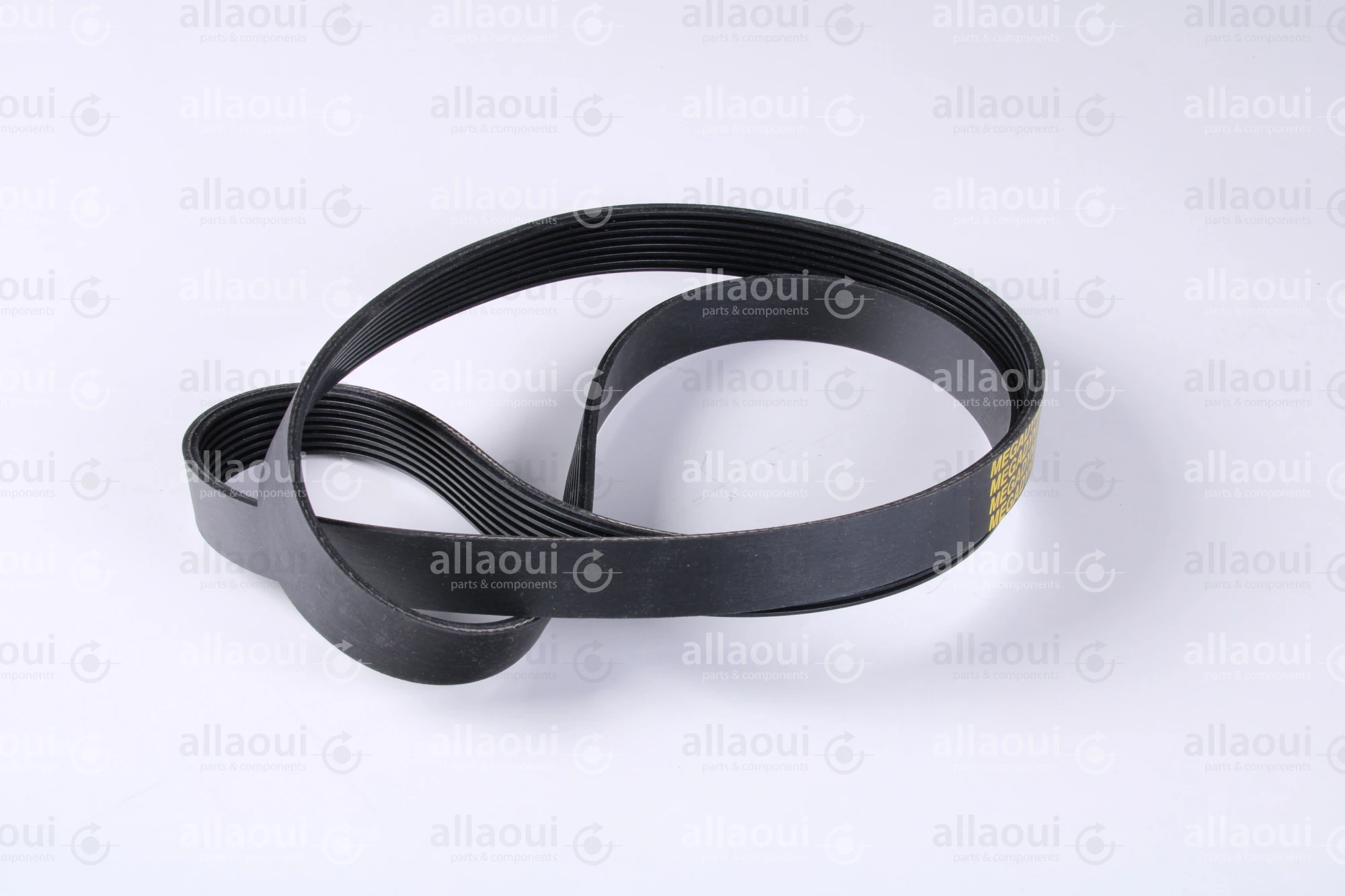 MBO Belt J8-1168 L 0107620 MBO Belt J8-1168 L 0107620