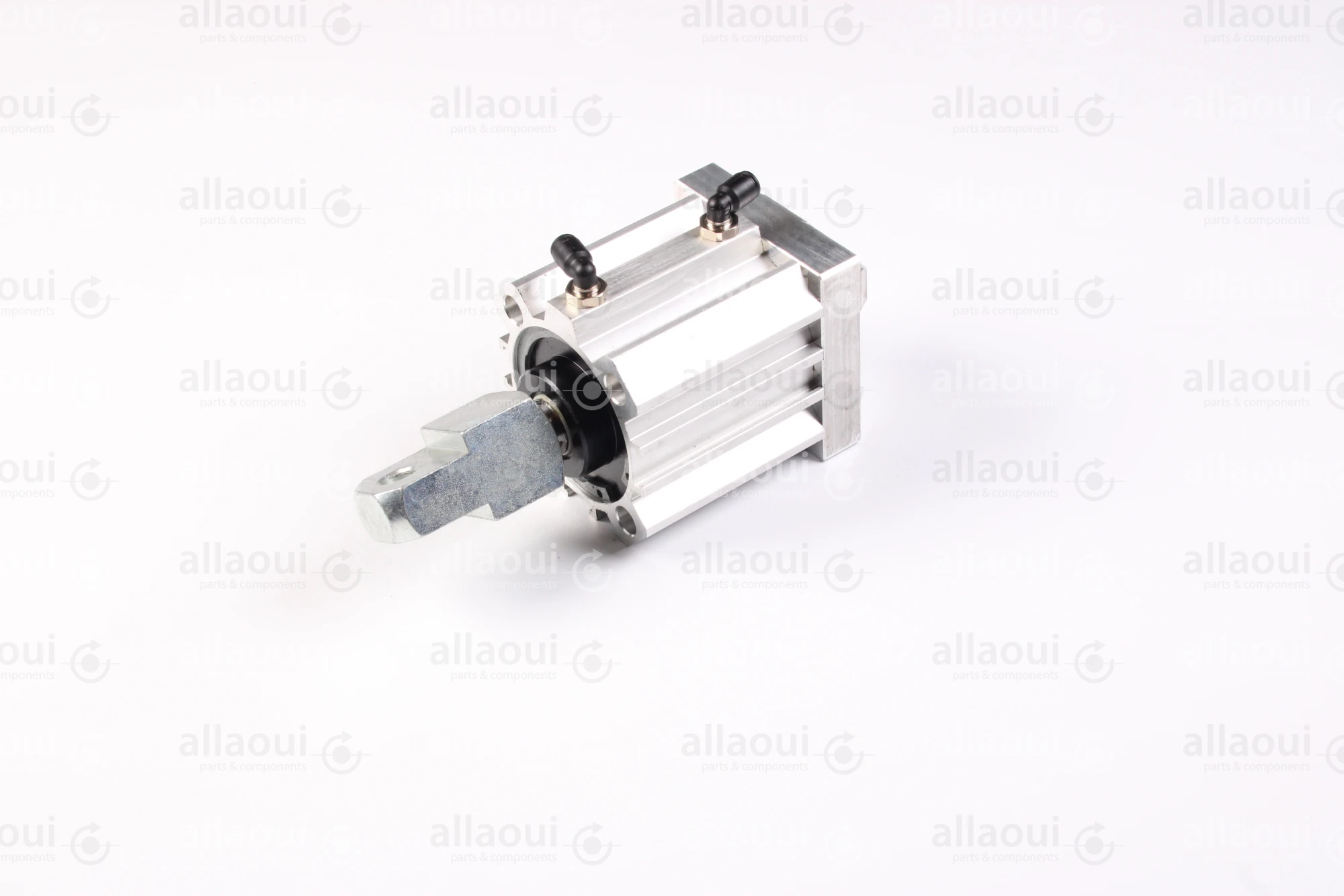 Elettra Pneumatic Cylinder 1026652-00 Elettra Pneumatic Cylinder 1026652-00
