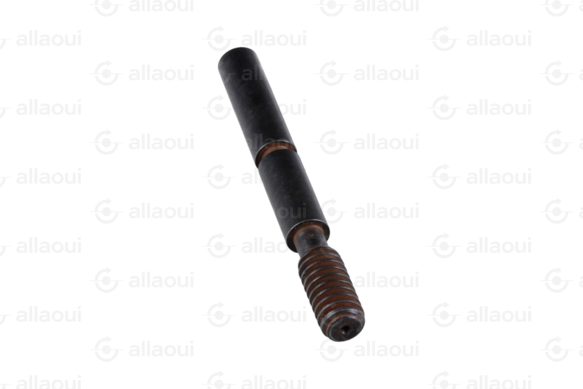 Manroland Worm 8008F302351