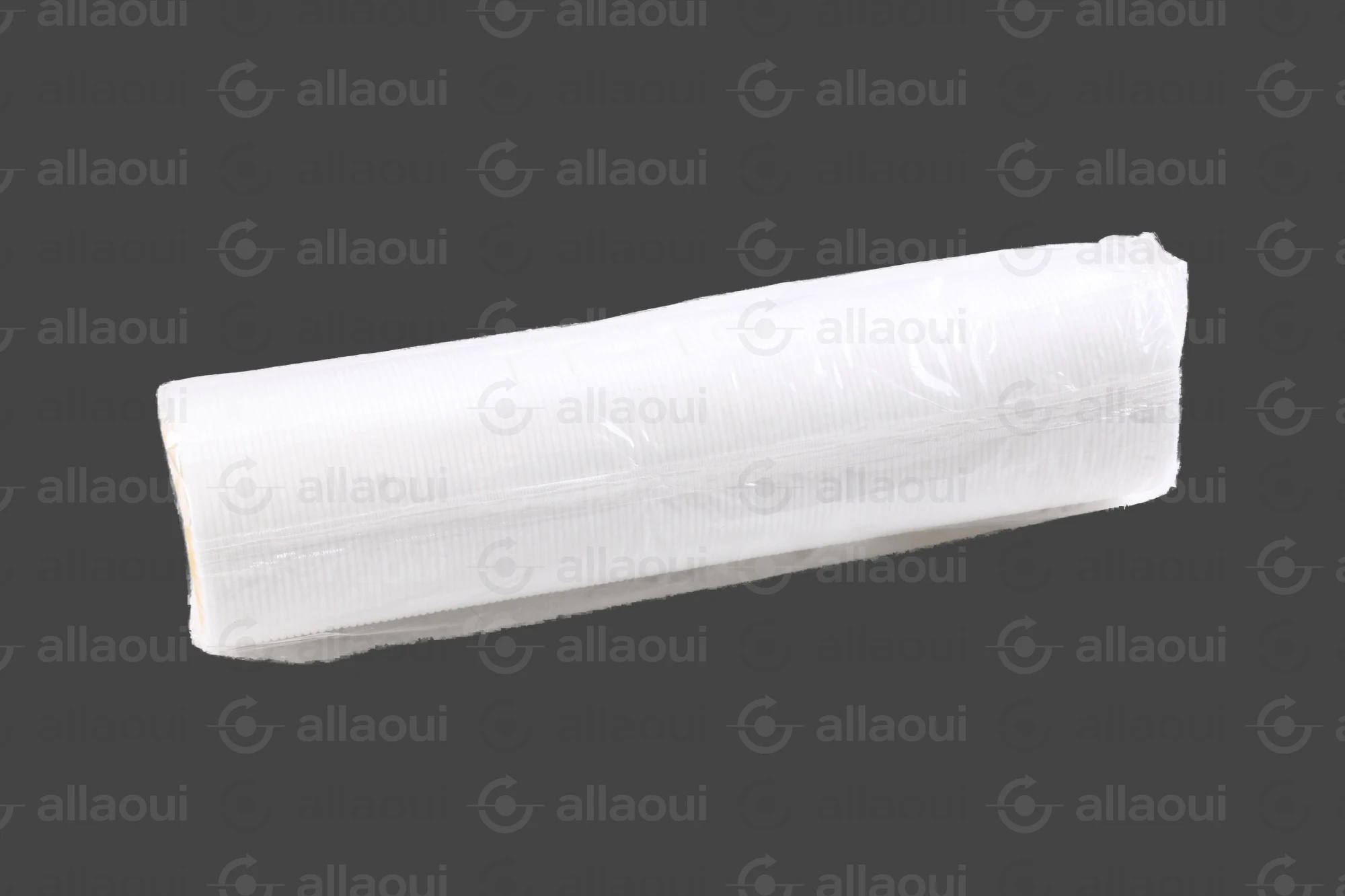 Technotrans Filter 058910901