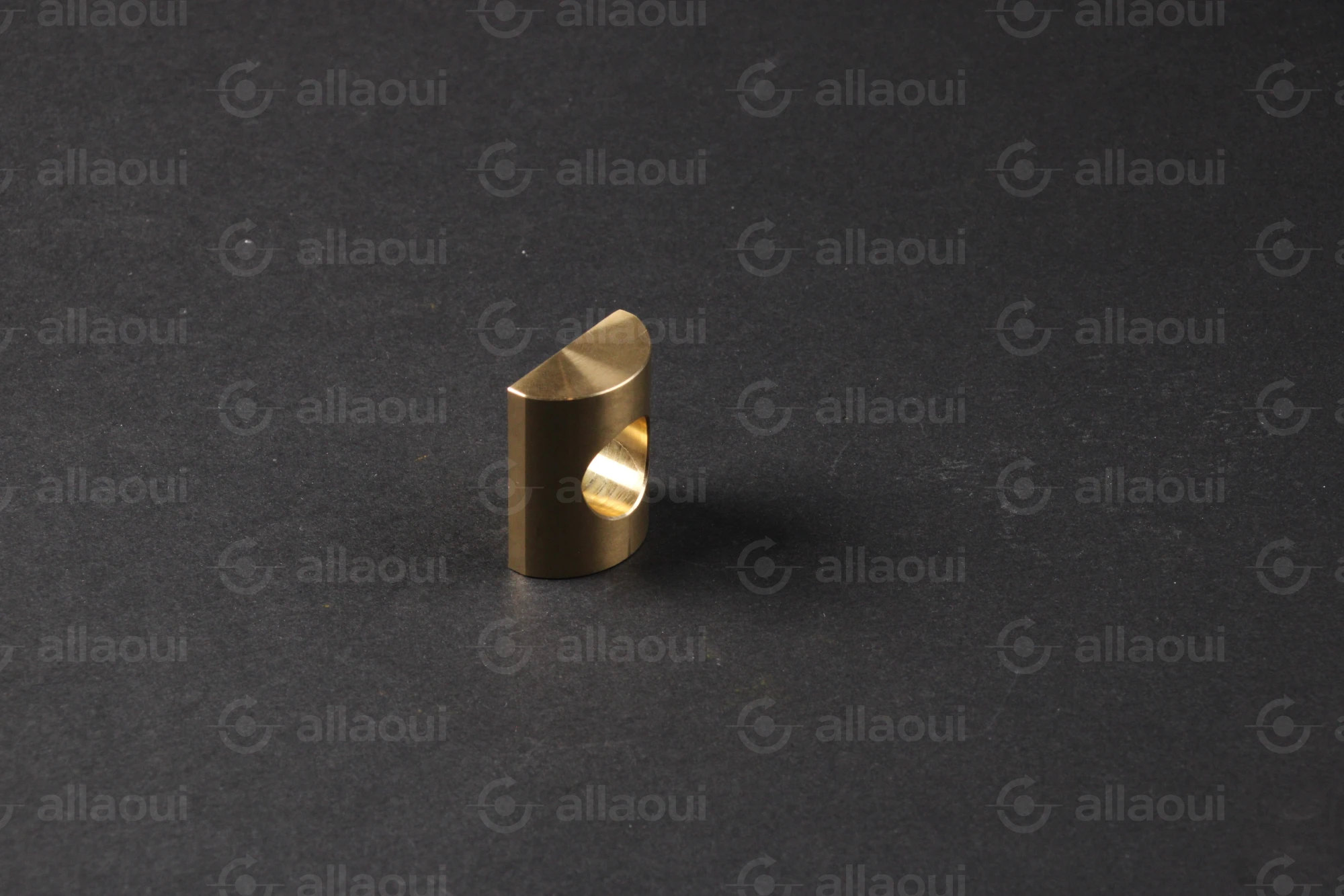 Manroland Segment 16.31440-0004 Manroland Segment 16.31440-0004