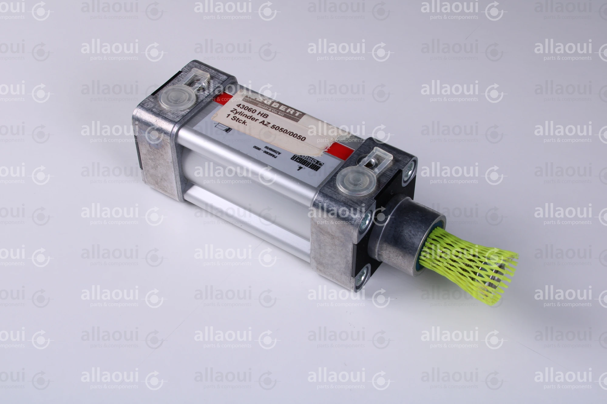 Segbert Pneumatic Cylinder AZ 5050/00050 43060 HB