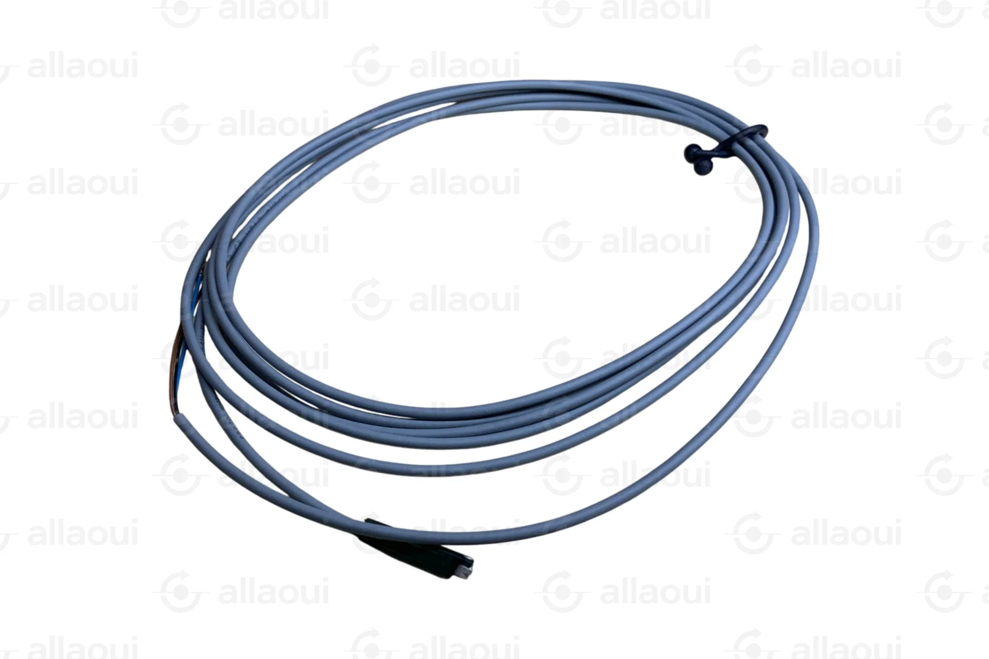 Festo Festo SME-10F-DS-24V-K2 525913 Festo Festo SME-10F-DS-24V-K2 525913