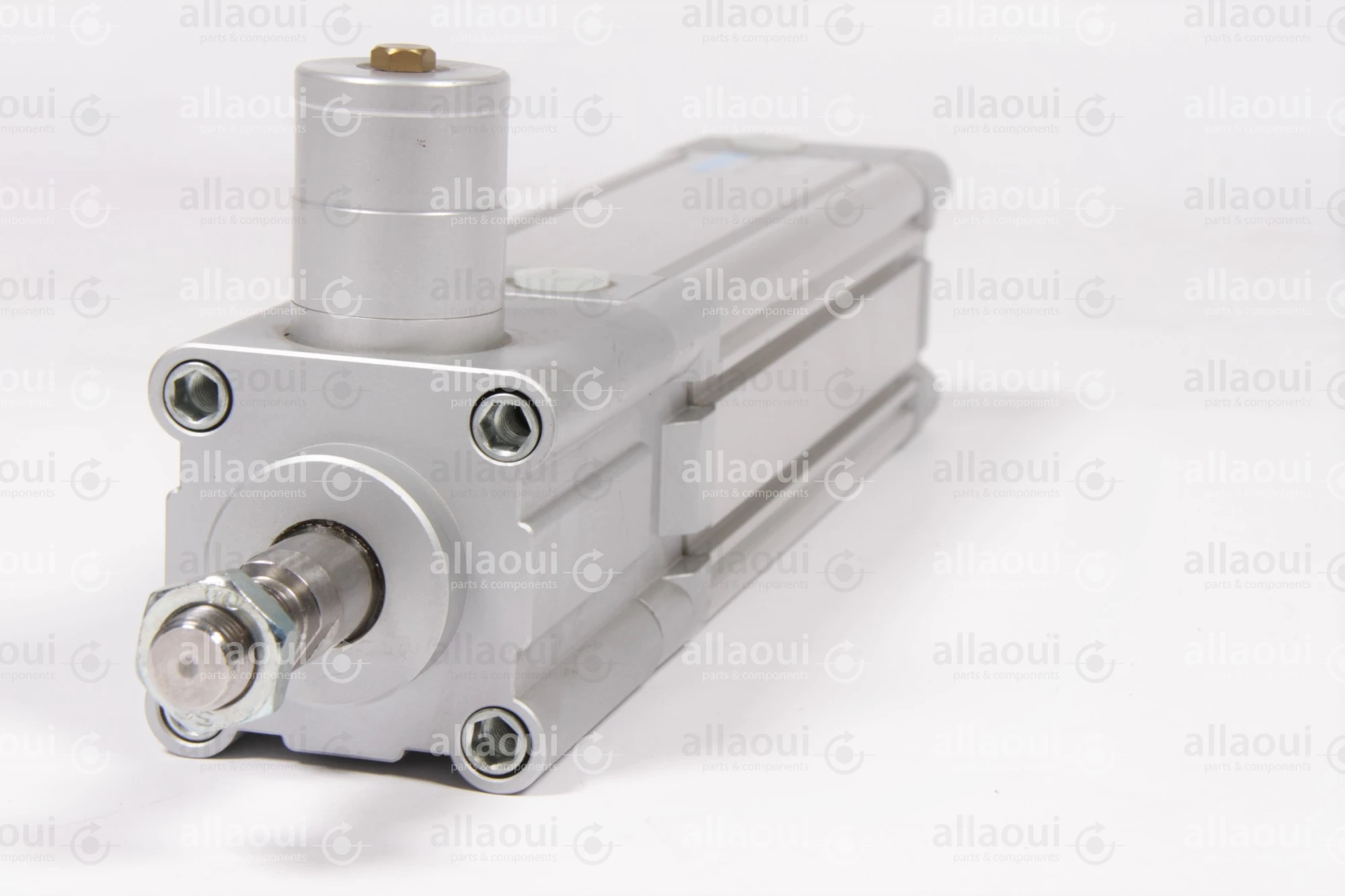 Festo Pneumatic Cylinder DNC-63-160-PPV-A Festo Pneumatic Cylinder DNC-63-160-PPV-A
